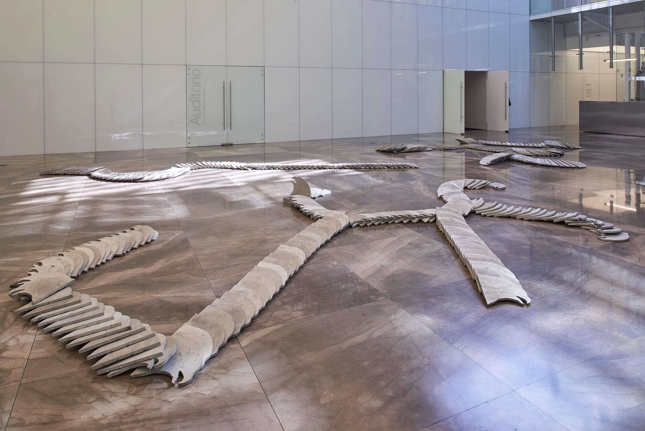 Incorruptibles | El tiempo en las cosas. Salas de Arte Contemporáneo | Museo Amparo, Puebla