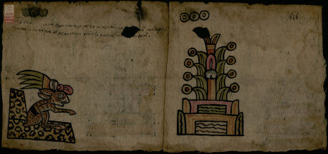 Códice de Coetzala, Chiautla de la Sal, Puebla