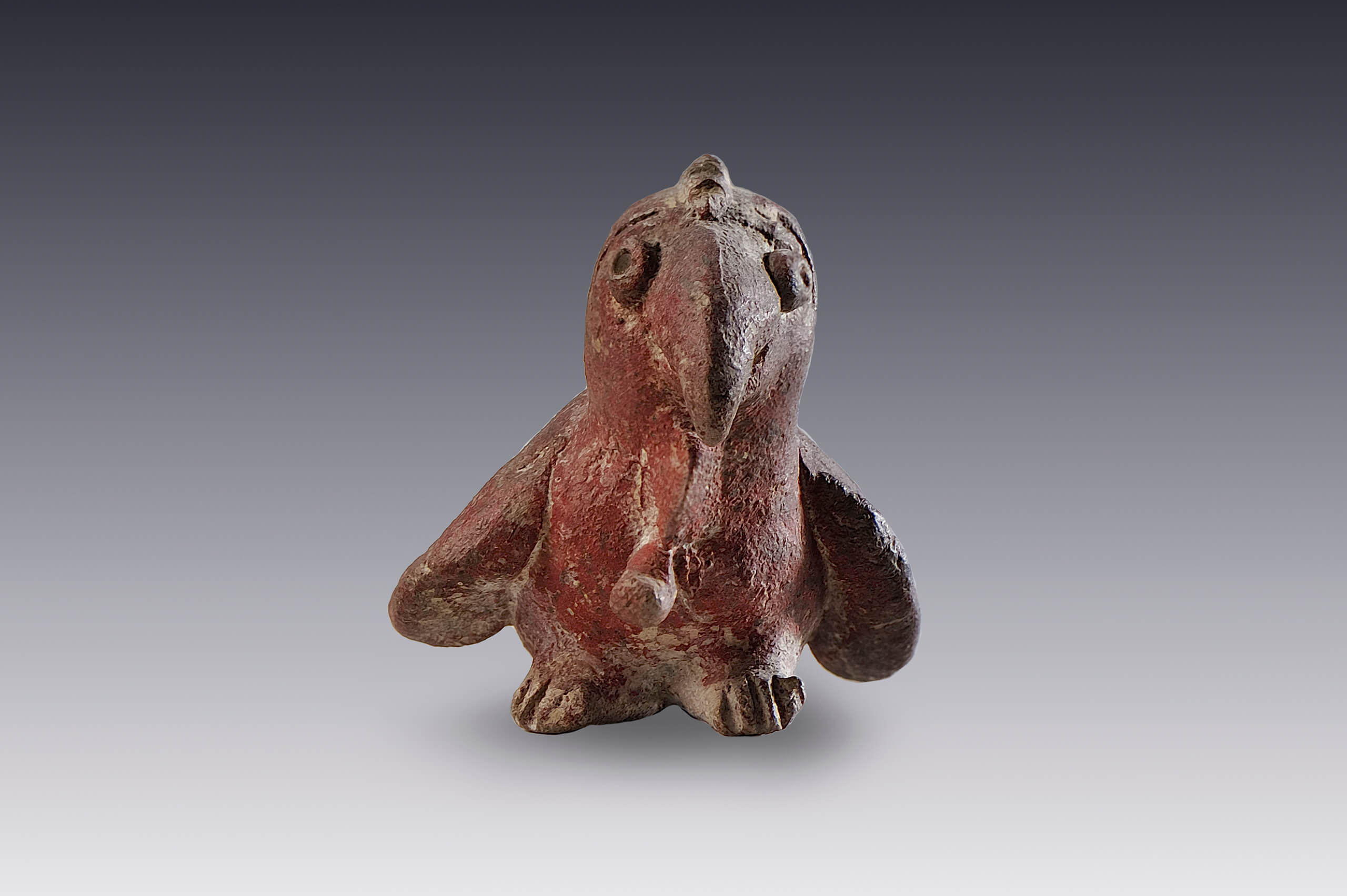 Figurilla zoomorfa (ave, loro) | El México antiguo. Salas de Arte Prehispánico | Museo Amparo, Puebla