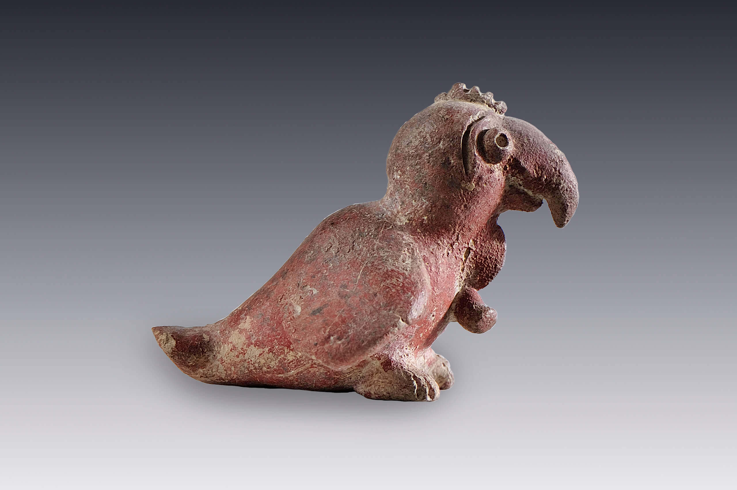 Figurilla zoomorfa (ave, loro) | El México antiguo. Salas de Arte Prehispánico | Museo Amparo, Puebla