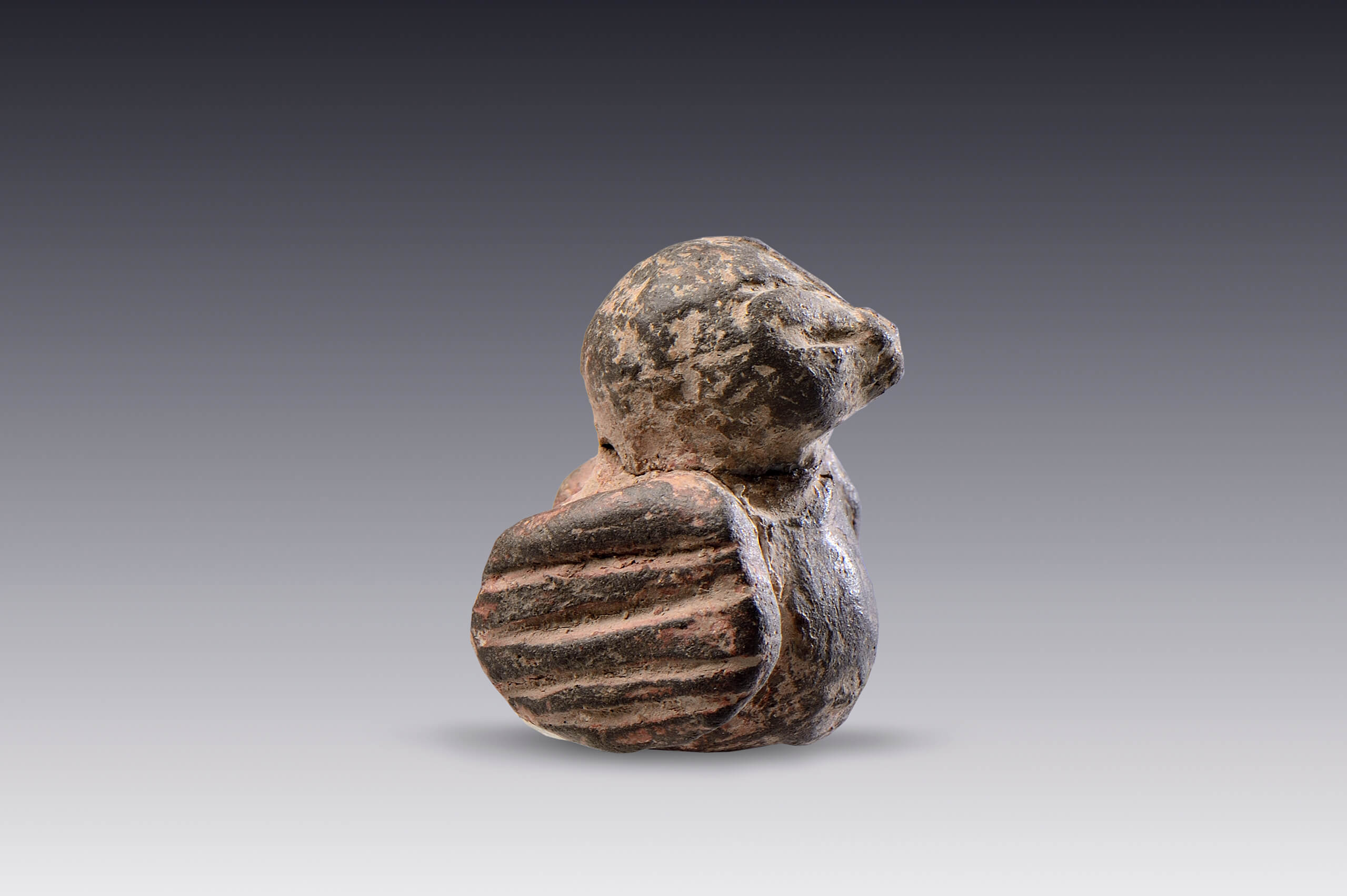Figurilla en forma de pato | El México antiguo. Salas de Arte Prehispánico | Museo Amparo, Puebla