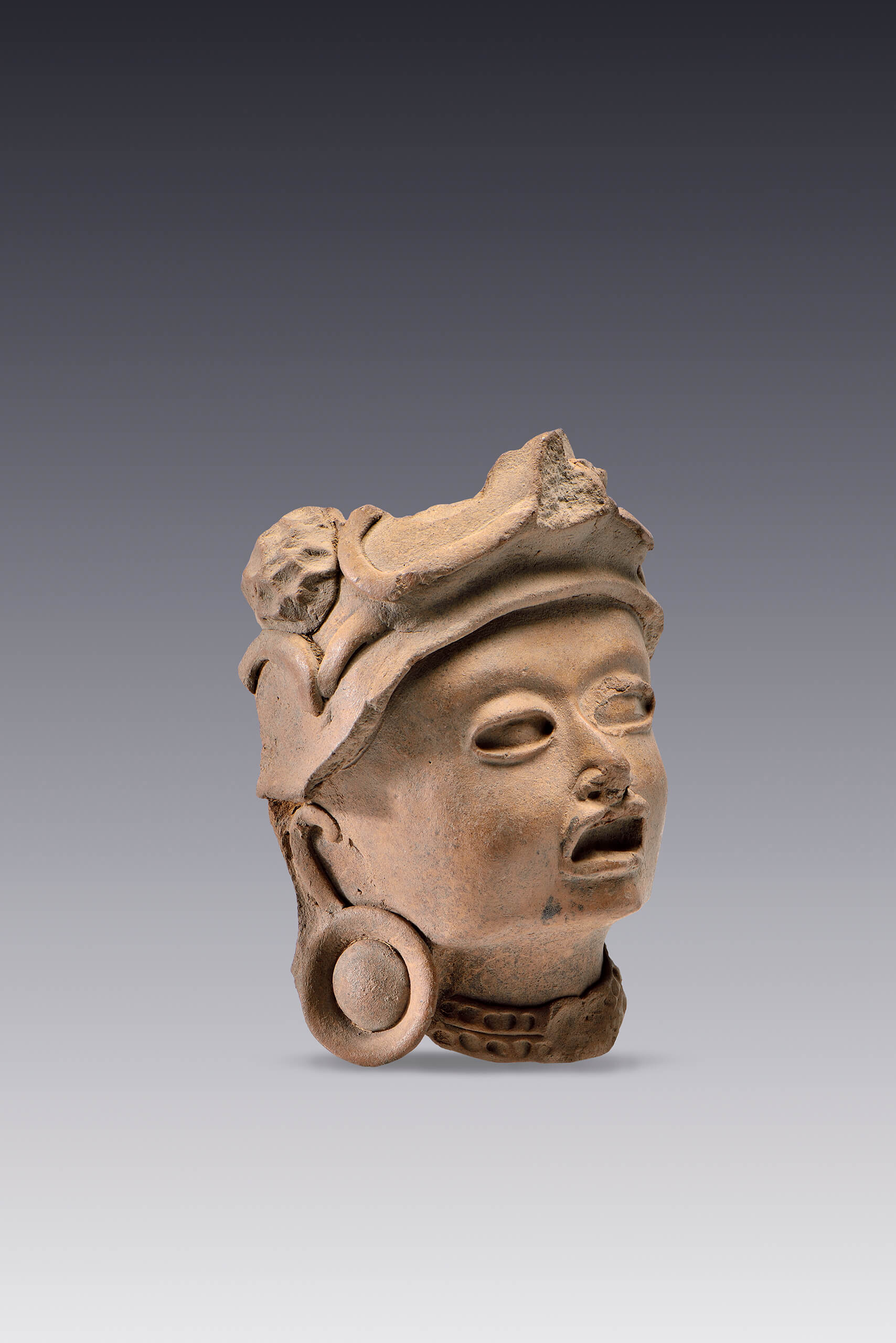 Cabeza antropomorfa de personaje muerto | El tiempo en las cosas II. Salas de Arte Contemporáneo | Museo Amparo, Puebla