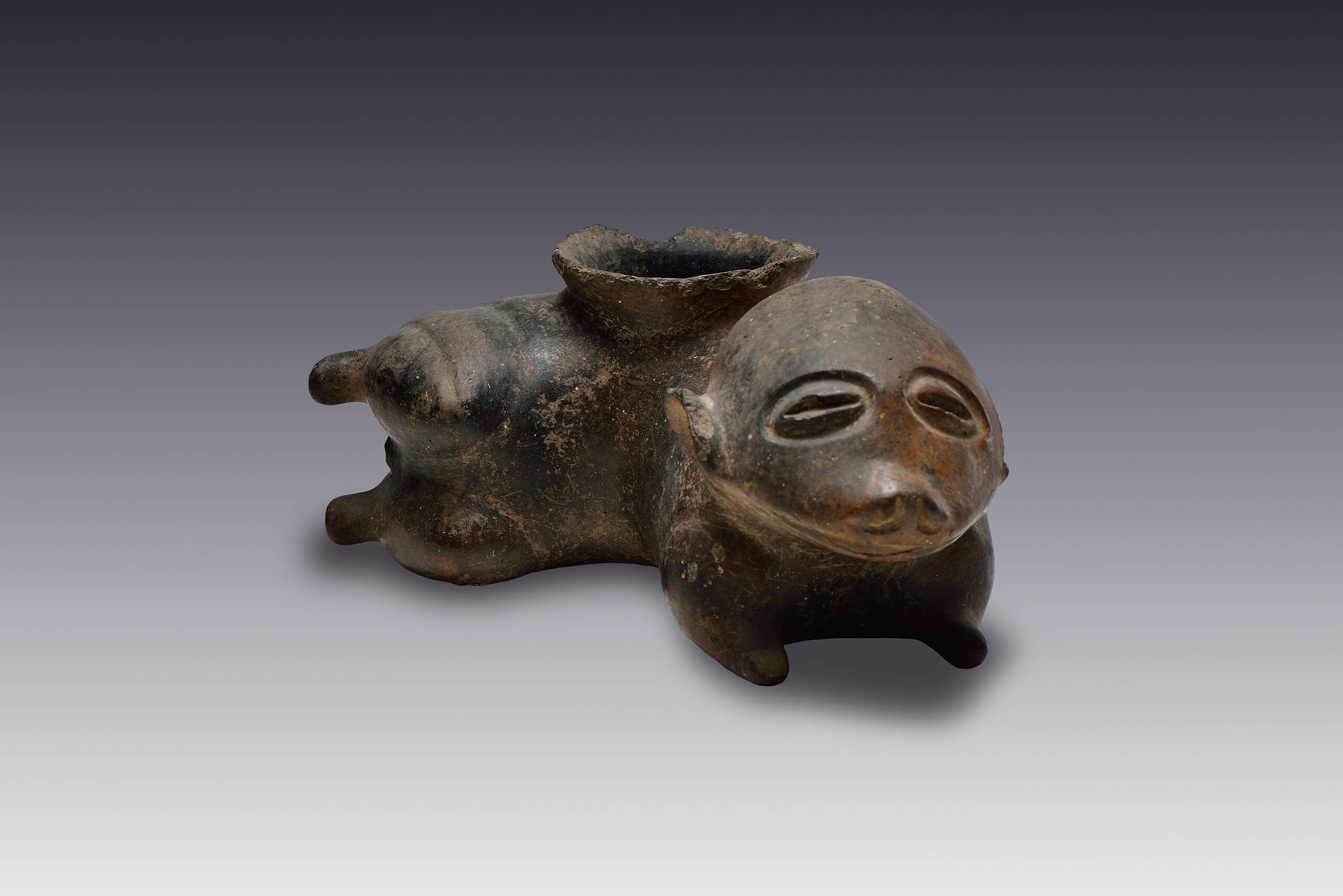 Vasija zoomorfa | El México antiguo. Salas de Arte Prehispánico | Museo Amparo, Puebla