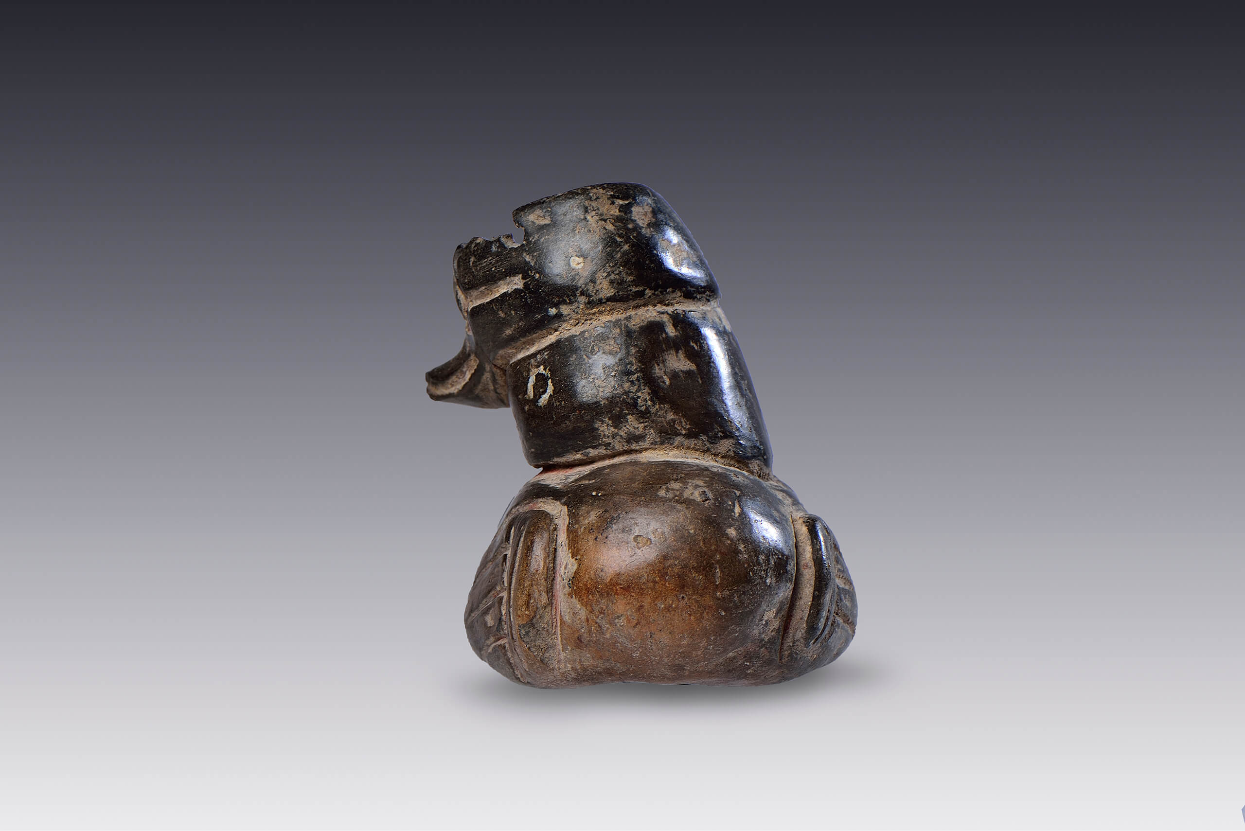 Vasija miniatura en forma de pato  | El México antiguo. Salas de Arte Prehispánico | Museo Amparo, Puebla