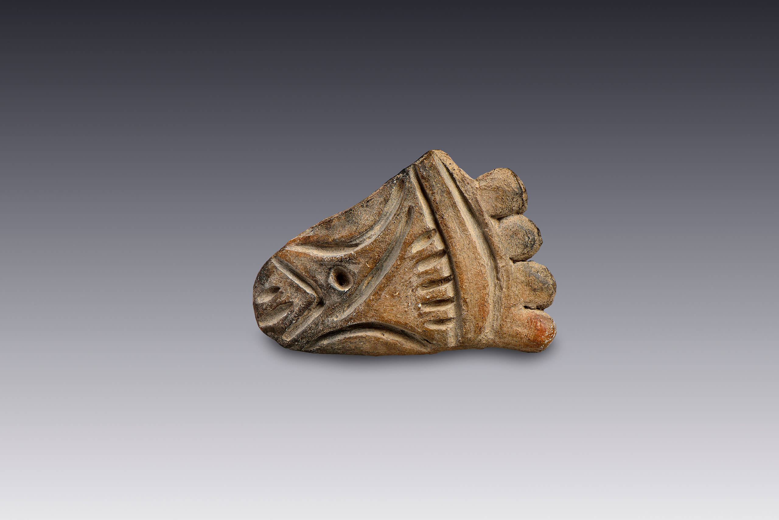 Sello con huella de pie | El México antiguo. Salas de Arte Prehispánico | Museo Amparo, Puebla
