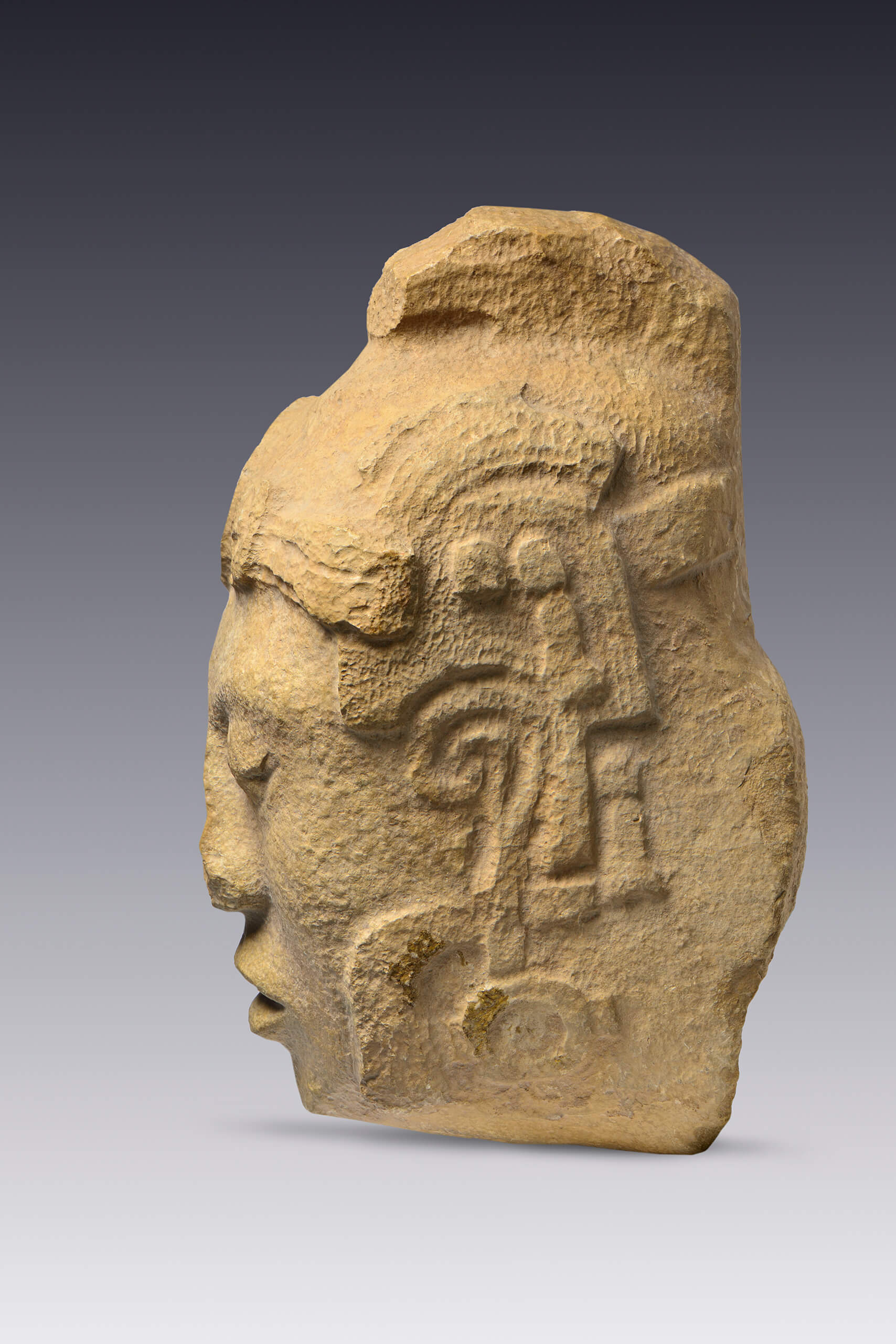 Cabeza de personaje masculino con tocado y papel en las orejas | El México antiguo. Salas de Arte Prehispánico | Museo Amparo, Puebla