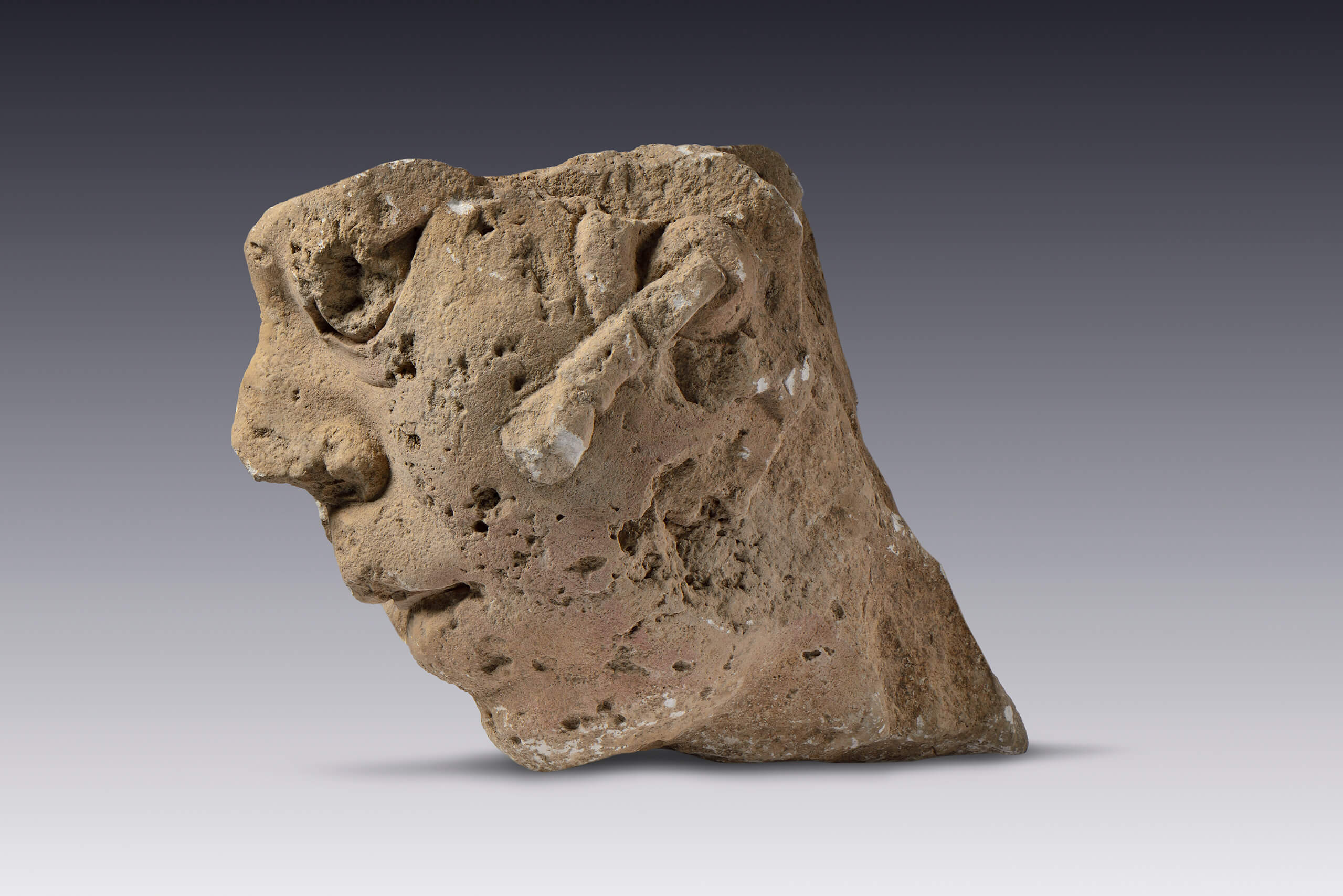 Fragmento de cabeza de personaje masculino con orejera | El México antiguo. Salas de Arte Prehispánico | Museo Amparo, Puebla