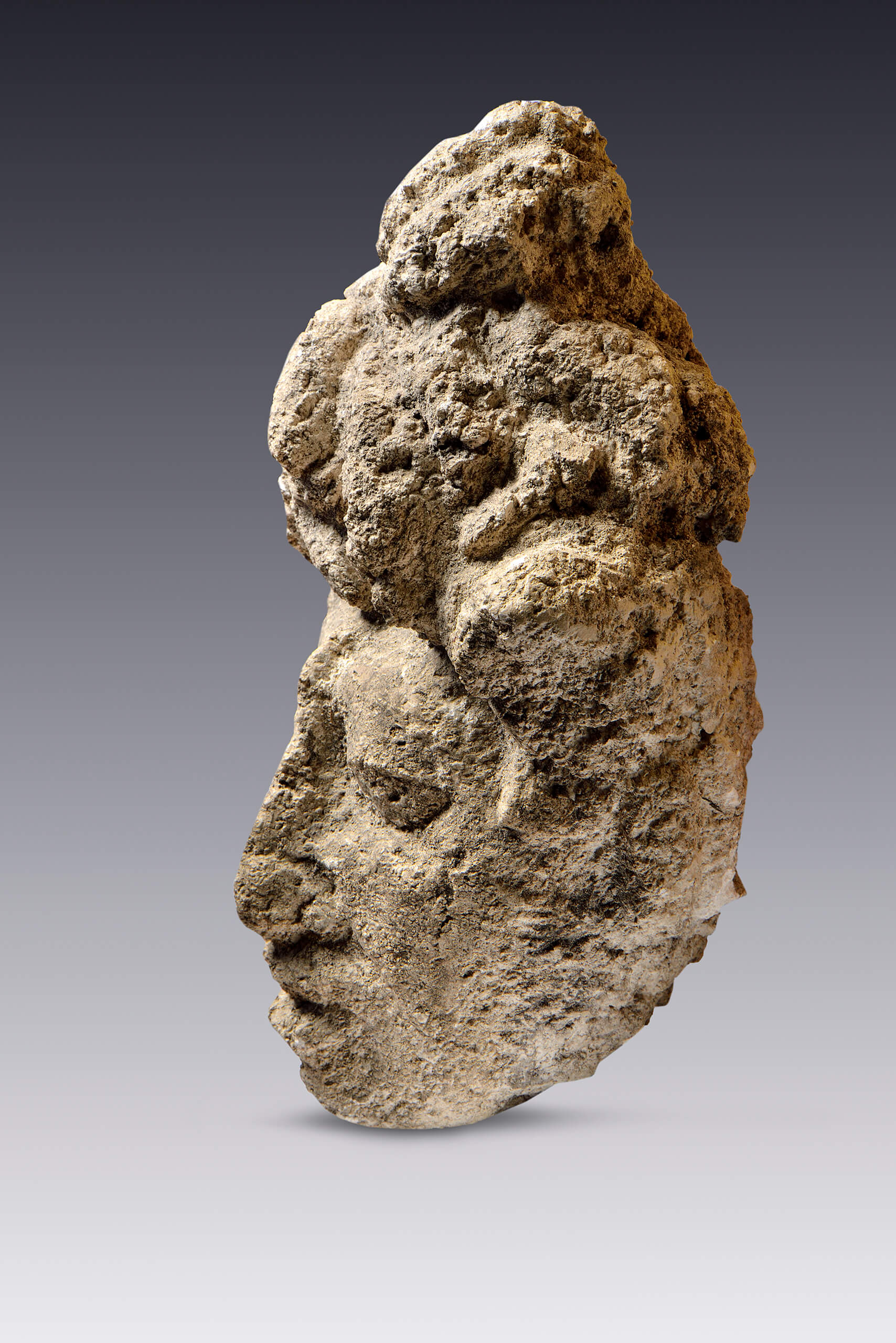 Cabeza de personaje esculpida en piedra con baño de estuco | El tiempo en las cosas II. Salas de Arte Contemporáneo | Museo Amparo, Puebla