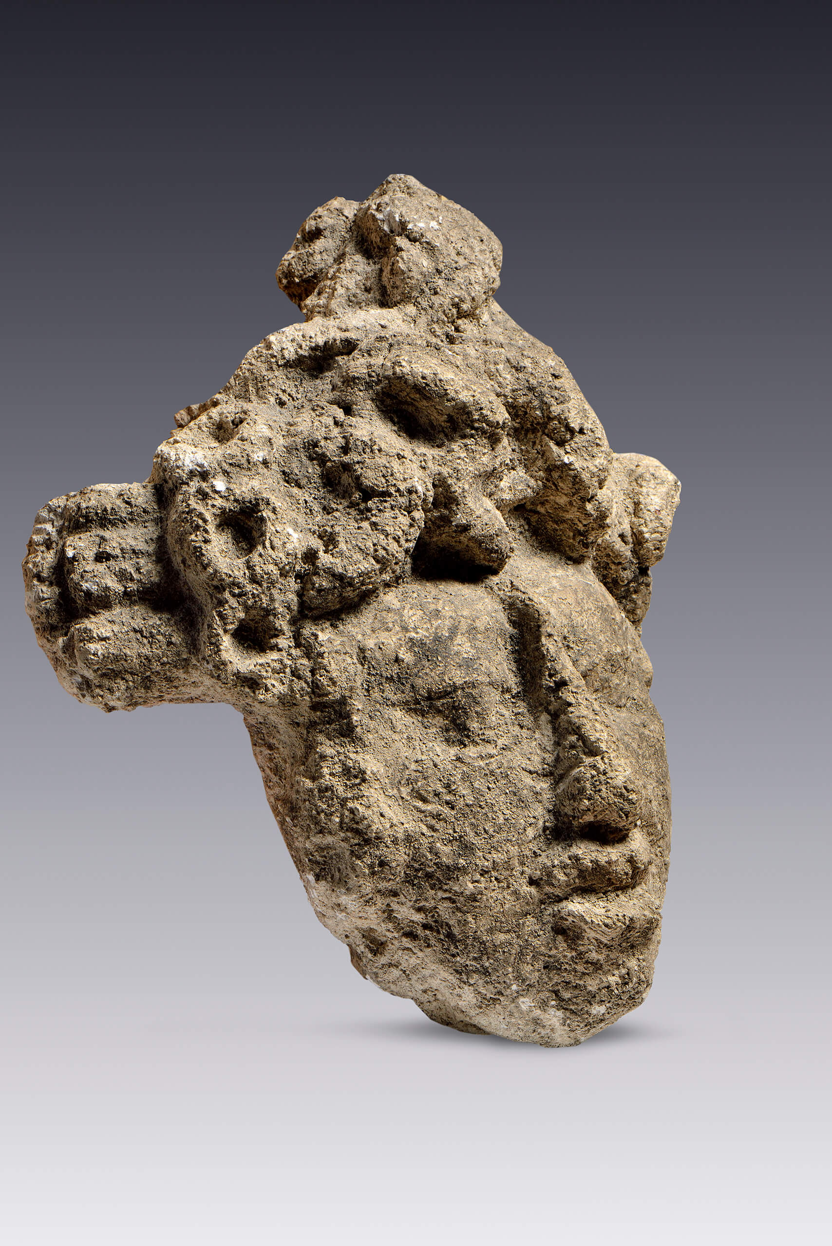 Cabeza de personaje esculpida en piedra con baño de estuco | El tiempo en las cosas II. Salas de Arte Contemporáneo | Museo Amparo, Puebla