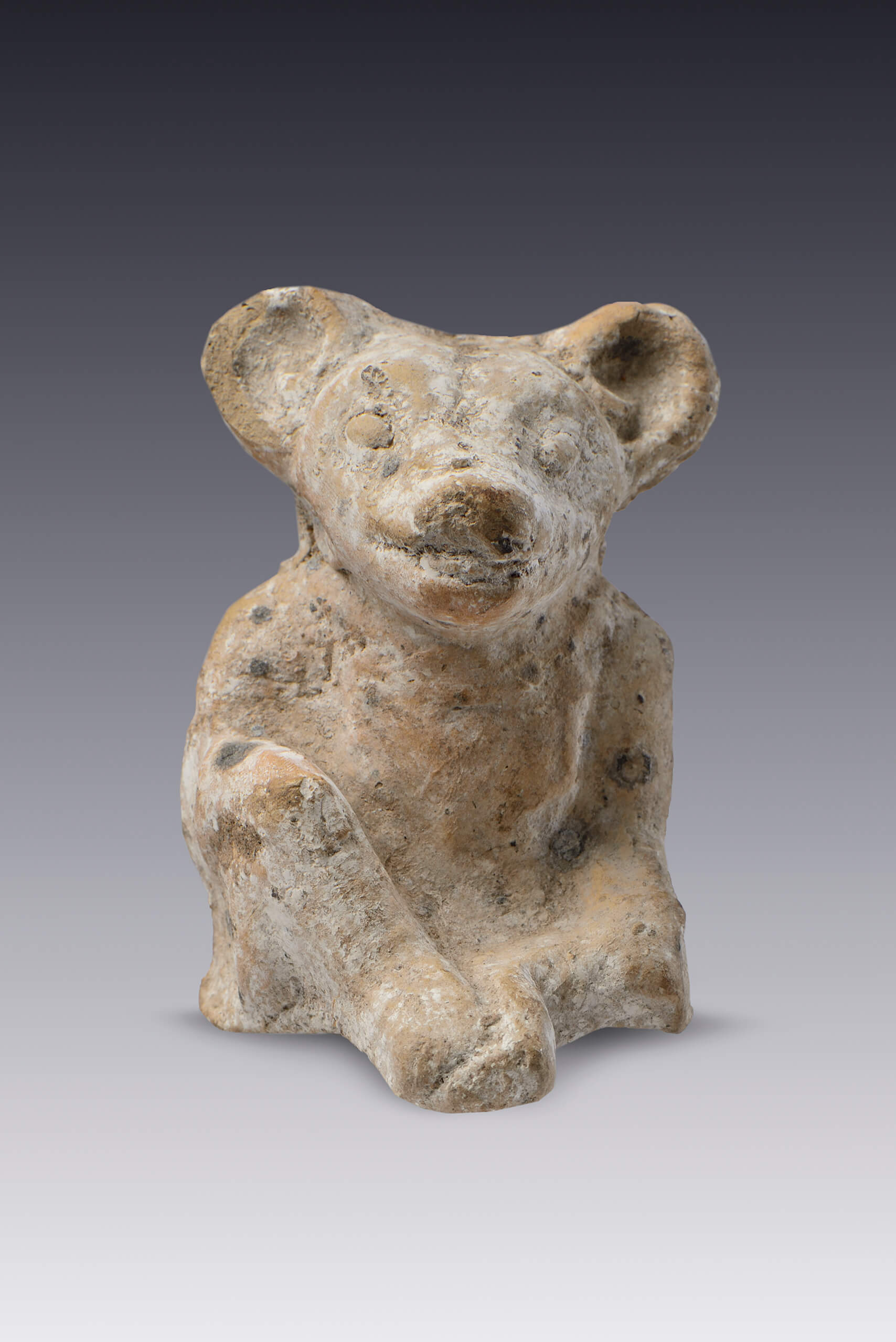 Perro con cuerpo antropomorfo | El México antiguo. Salas de Arte Prehispánico | Museo Amparo, Puebla