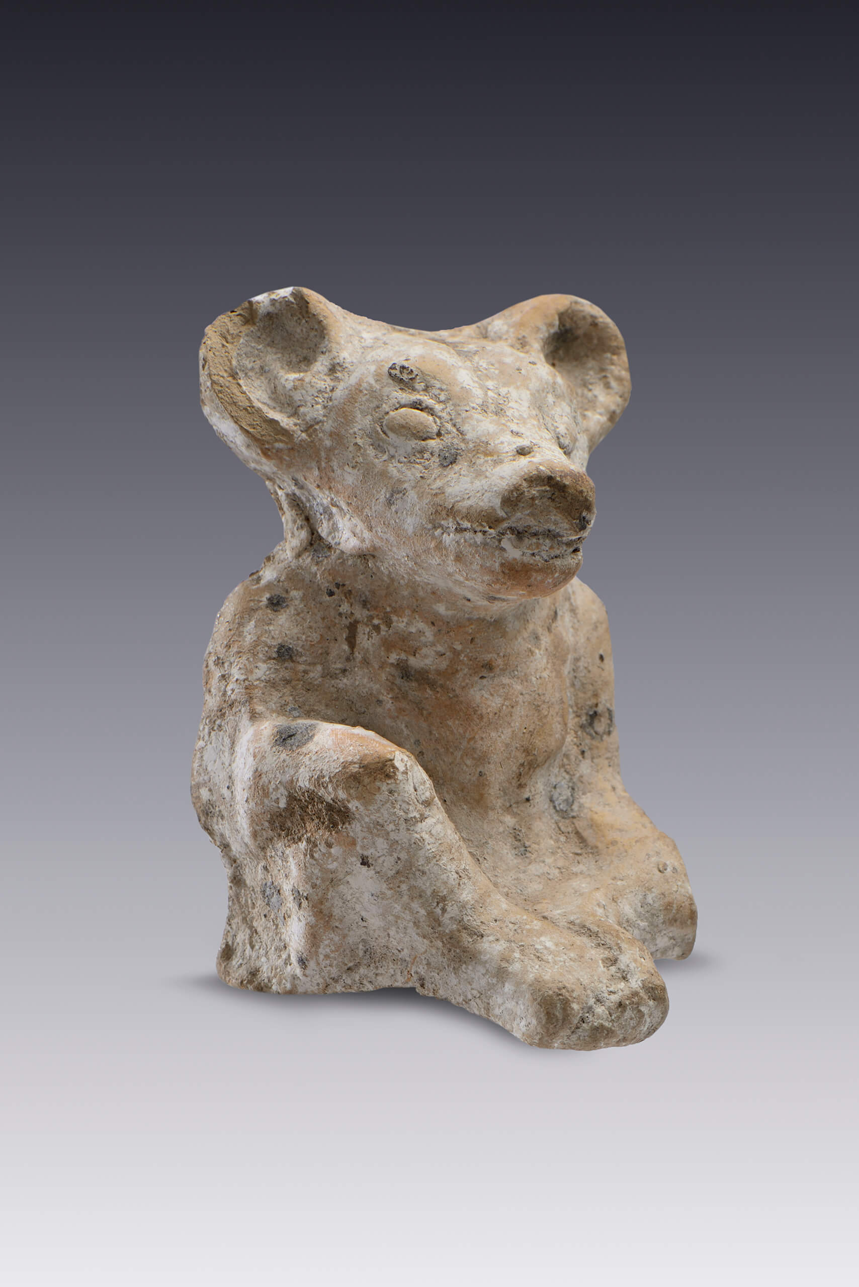Perro con cuerpo antropomorfo | El México antiguo. Salas de Arte Prehispánico | Museo Amparo, Puebla