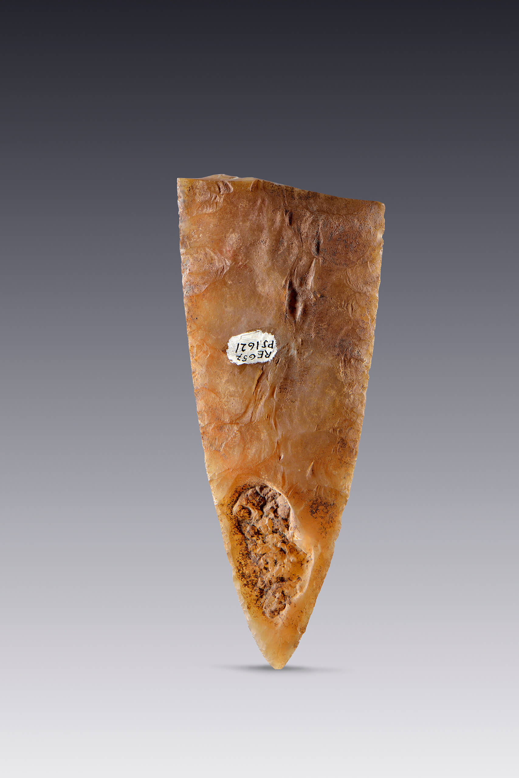 Cuchillo o punta de lanza (fragmento) | El México antiguo. Salas de Arte Prehispánico | Museo Amparo, Puebla