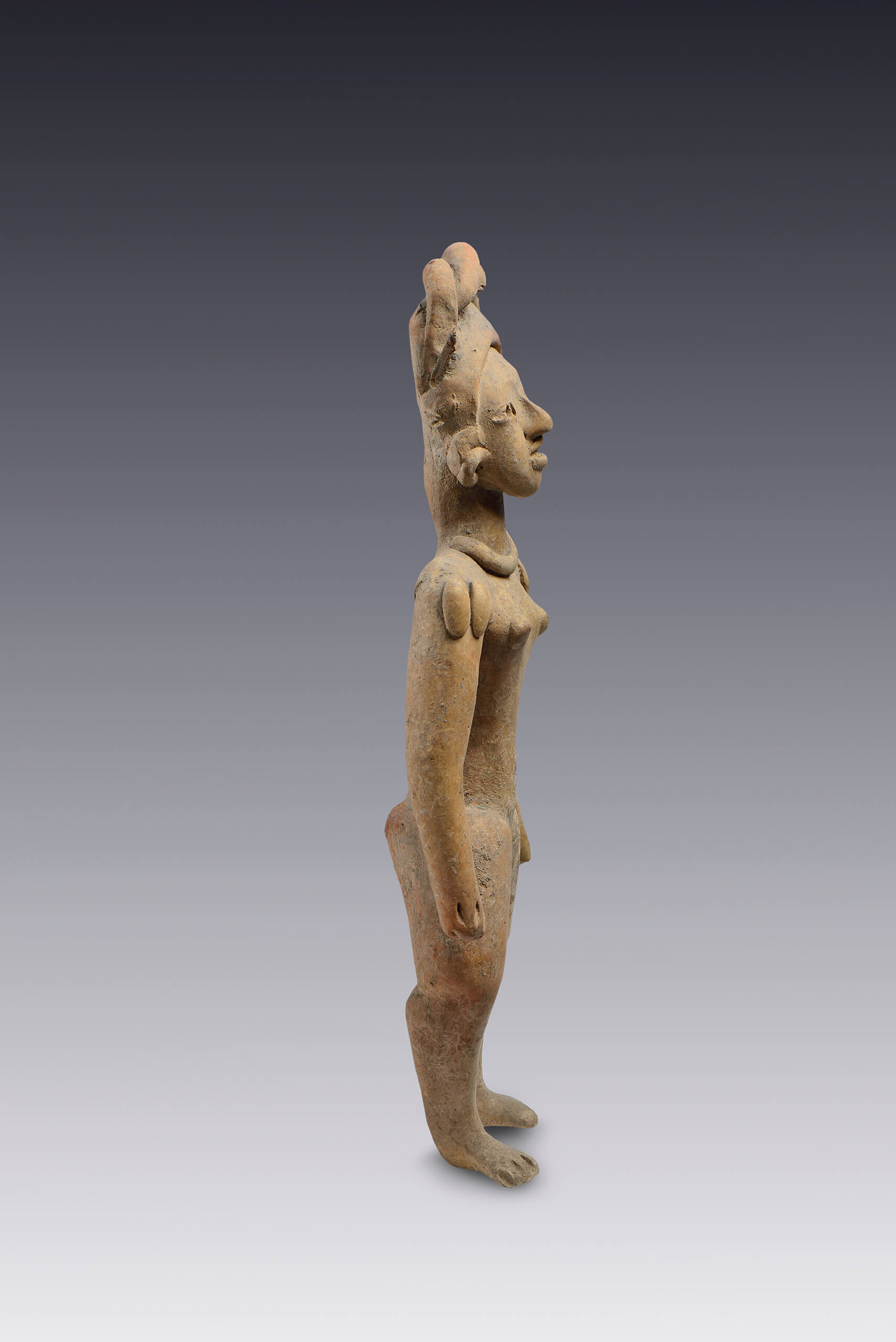 Figura de mujer joven parada con gruesa trenza horizontal y escarificación en los hombros | El México antiguo. Salas de Arte Prehispánico | Museo Amparo, Puebla