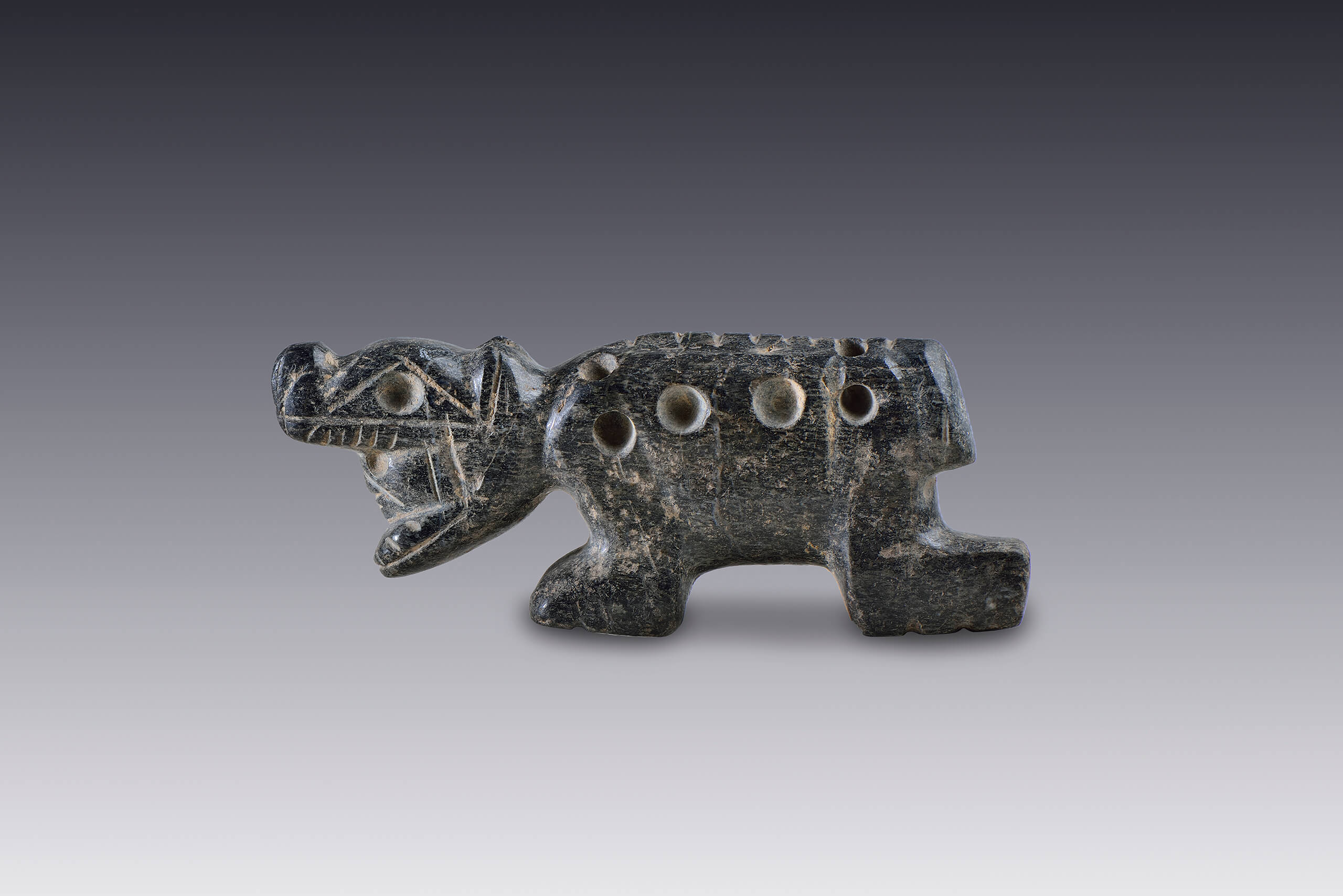 Figura de un hombre-felino | El México antiguo. Salas de Arte Prehispánico | Museo Amparo, Puebla