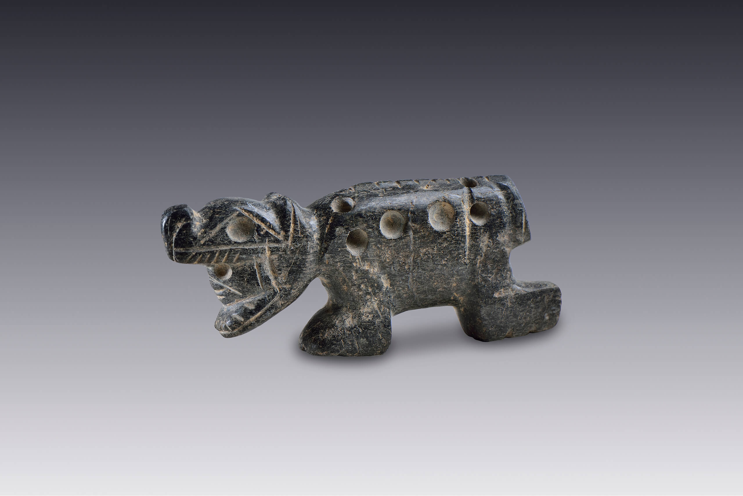 Figura de un hombre-felino | El México antiguo. Salas de Arte Prehispánico | Museo Amparo, Puebla
