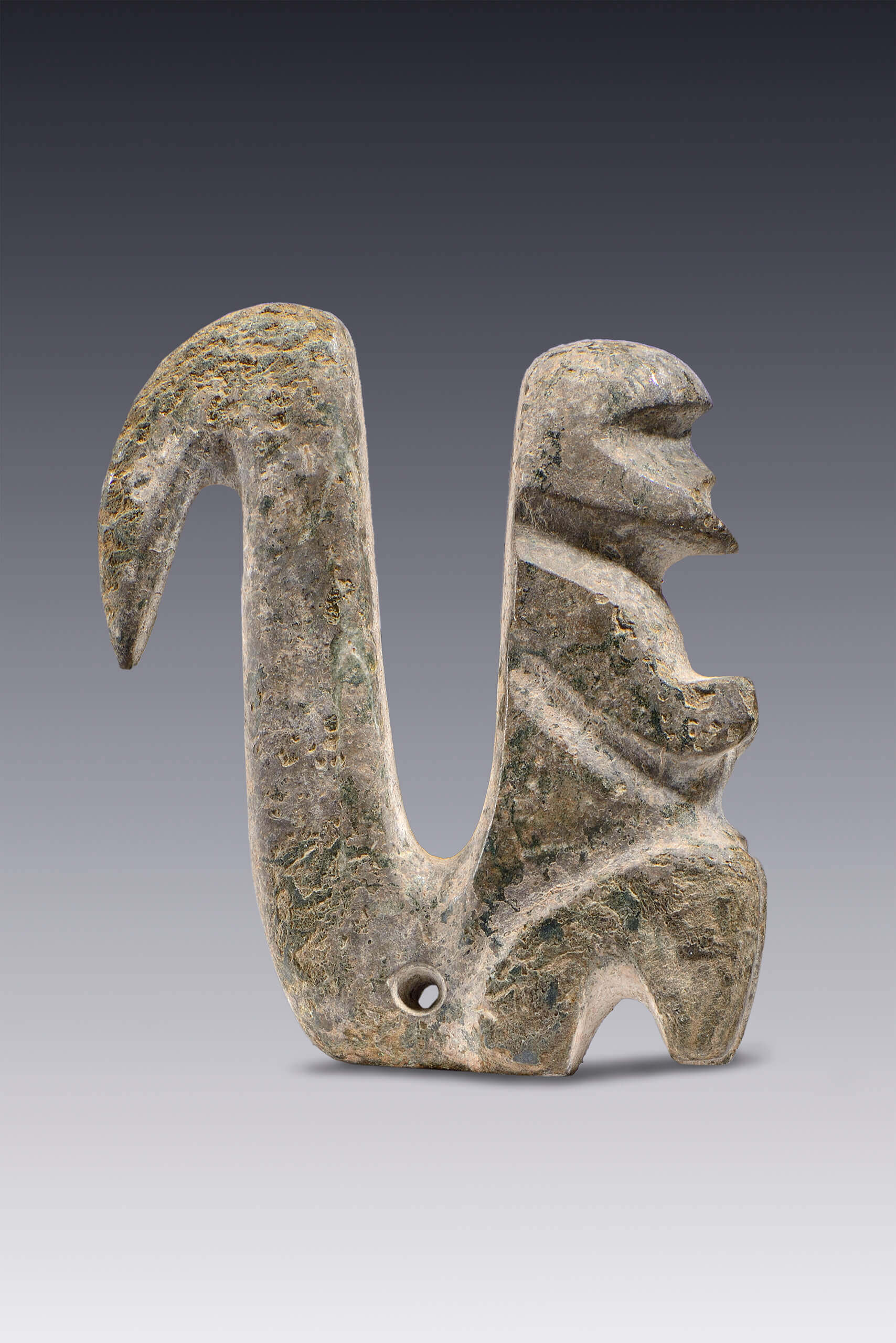 Ardillas y monos | El México antiguo. Salas de Arte Prehispánico | Museo Amparo, Puebla