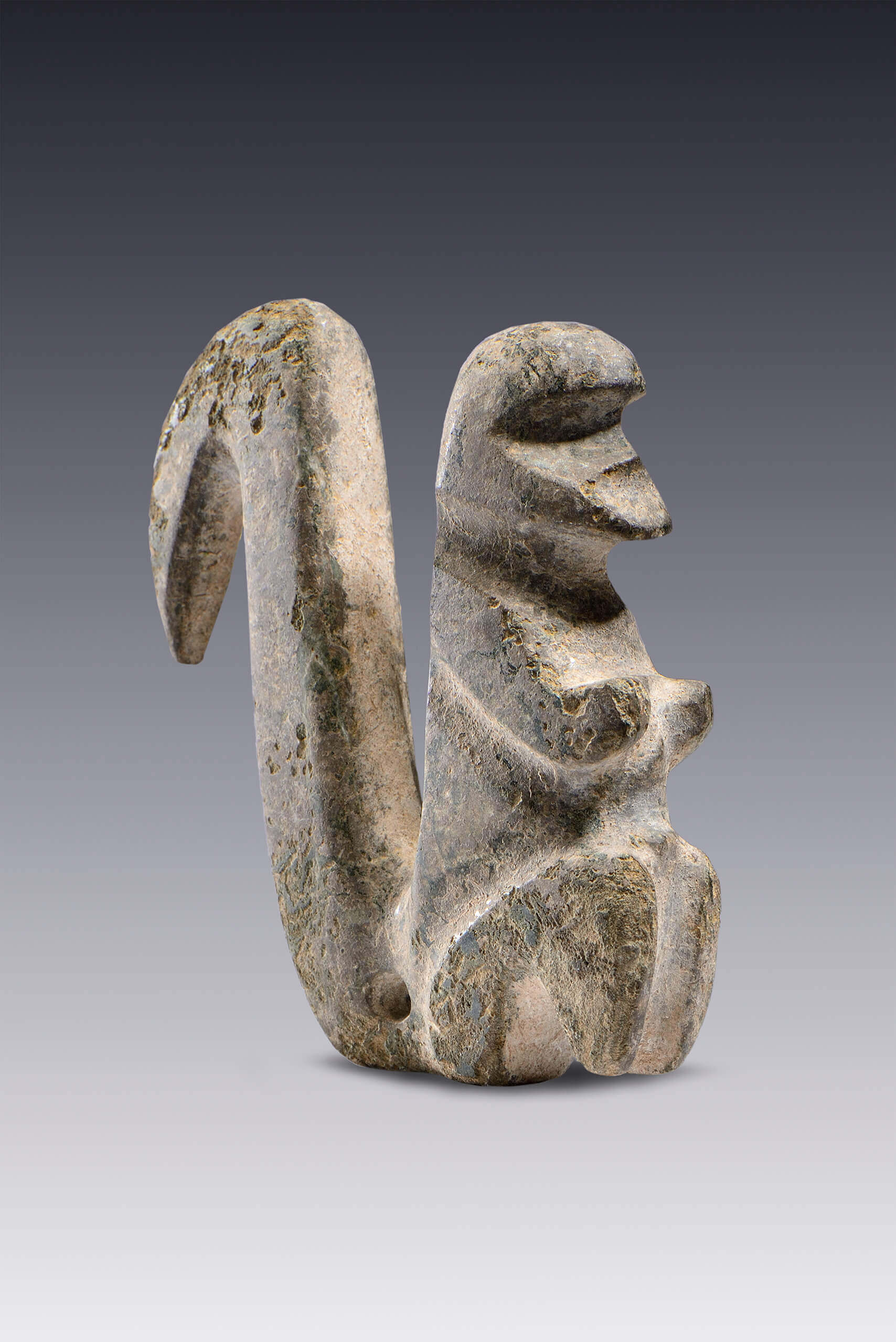 Ardillas y monos | El México antiguo. Salas de Arte Prehispánico | Museo Amparo, Puebla