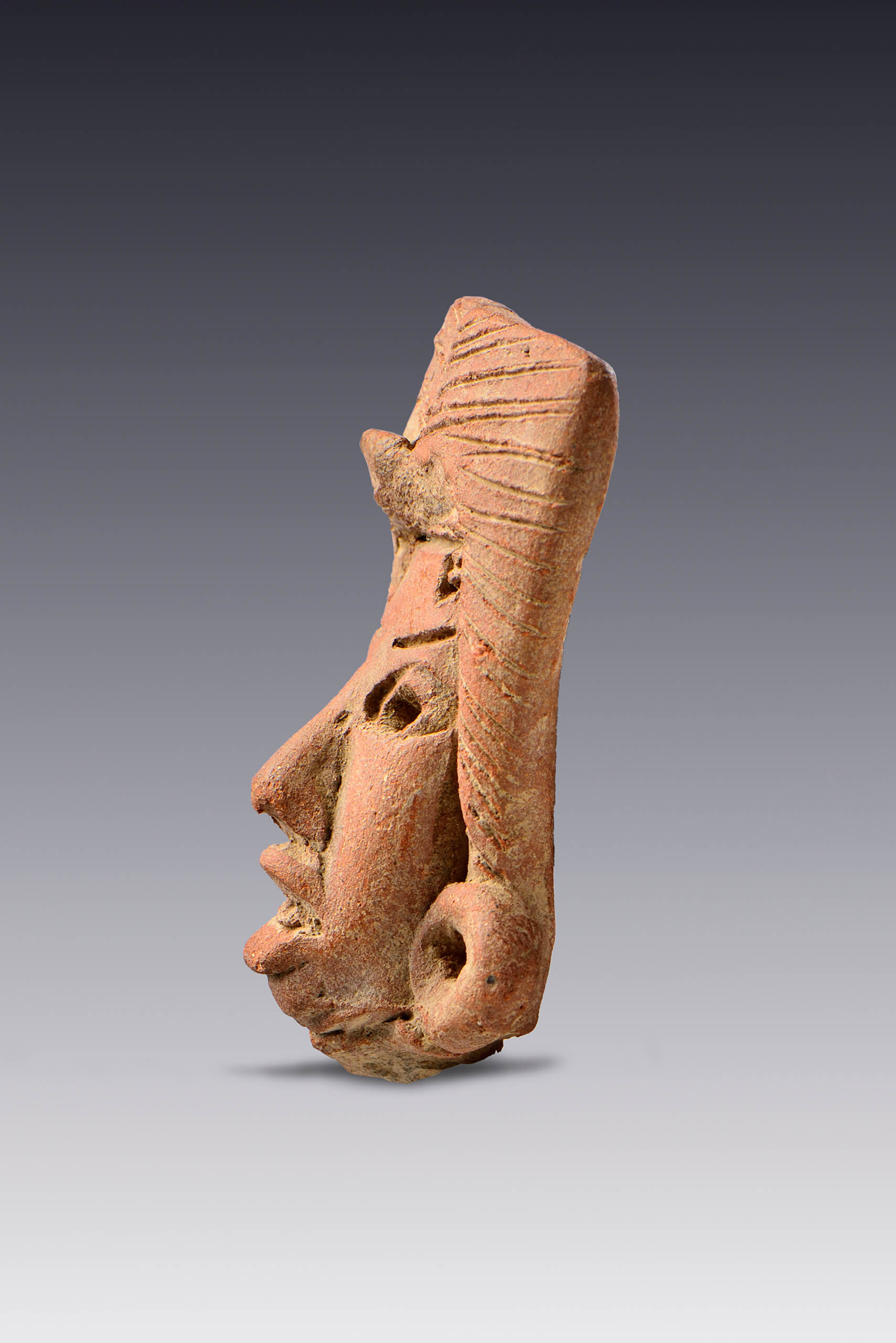 Cabezas humanas ornamentadas | El México antiguo. Salas de Arte Prehispánico | Museo Amparo, Puebla