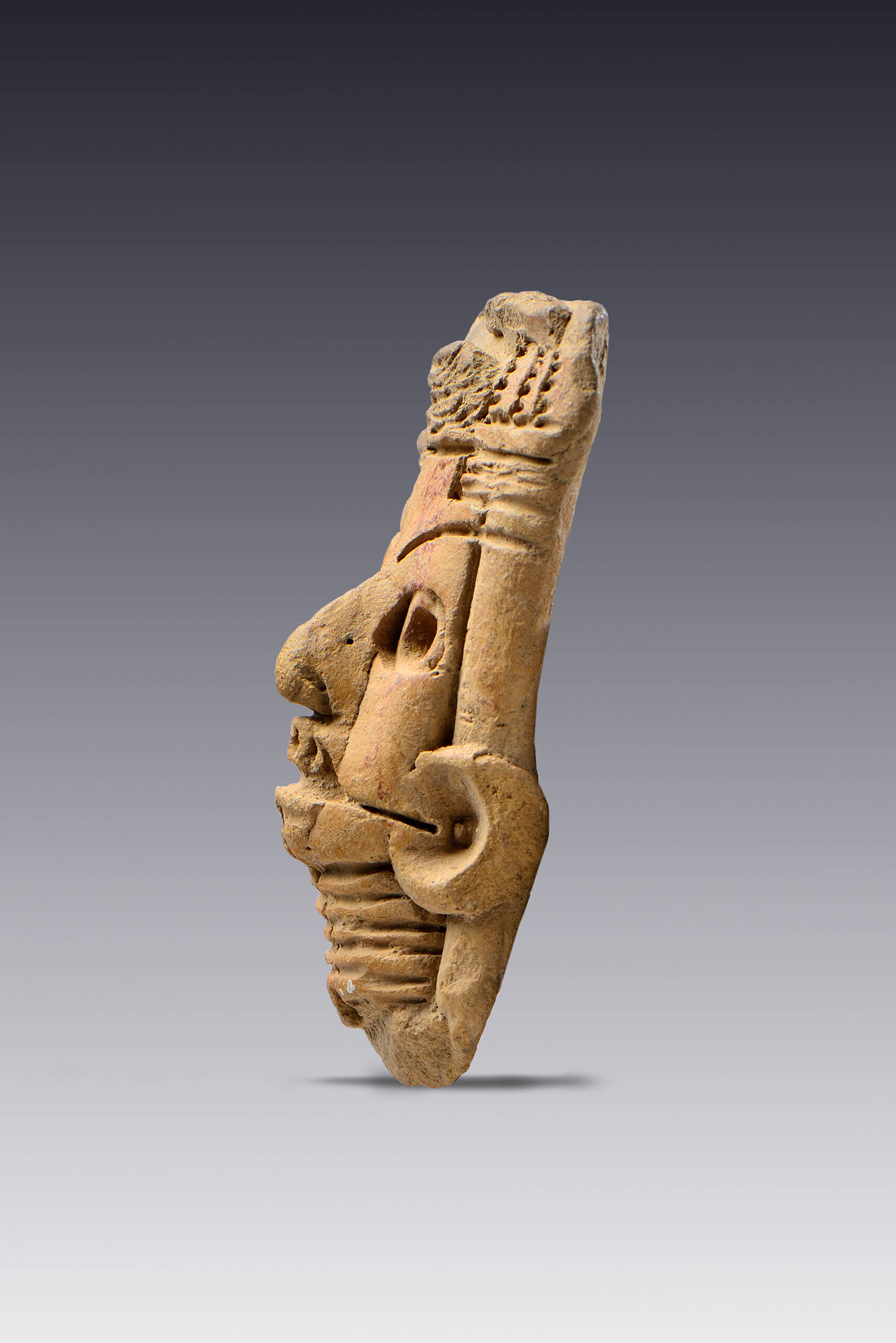 Cabezas humanas ornamentadas | El México antiguo. Salas de Arte Prehispánico | Museo Amparo, Puebla