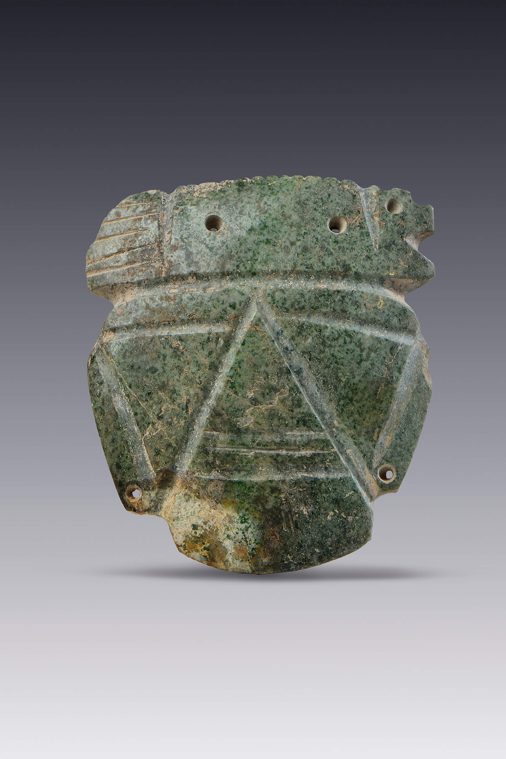 Rostro con tocado de pez | El México antiguo. Salas de Arte Prehispánico | Museo Amparo, Puebla