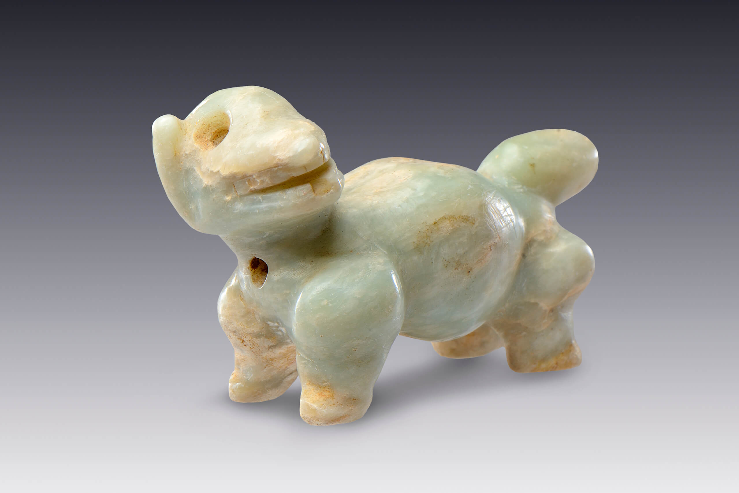 Joya colgante caniforme | El México antiguo. Salas de Arte Prehispánico | Museo Amparo, Puebla