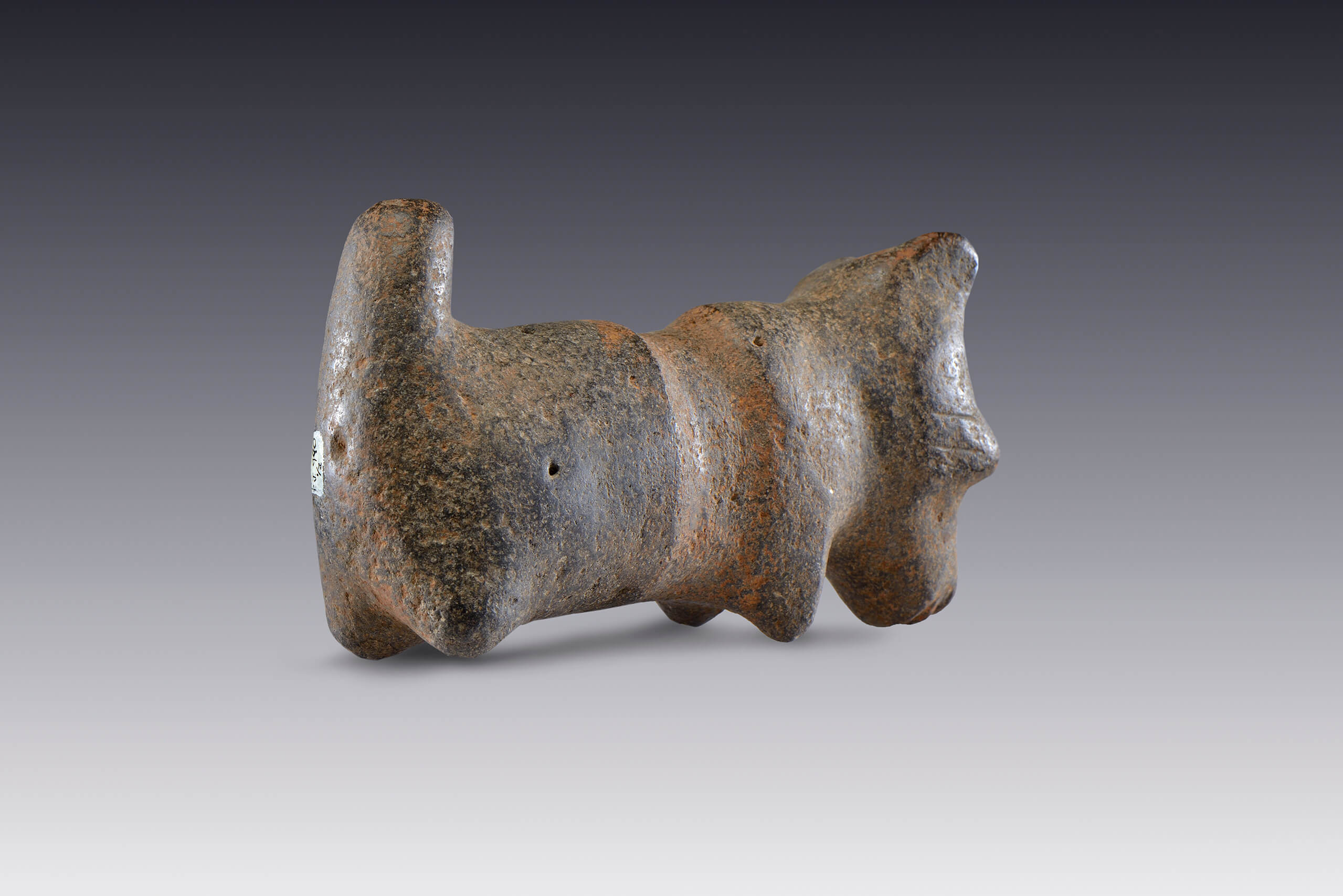 Perros, ¿mangos decorativos? | El México antiguo. Salas de Arte Prehispánico | Museo Amparo, Puebla