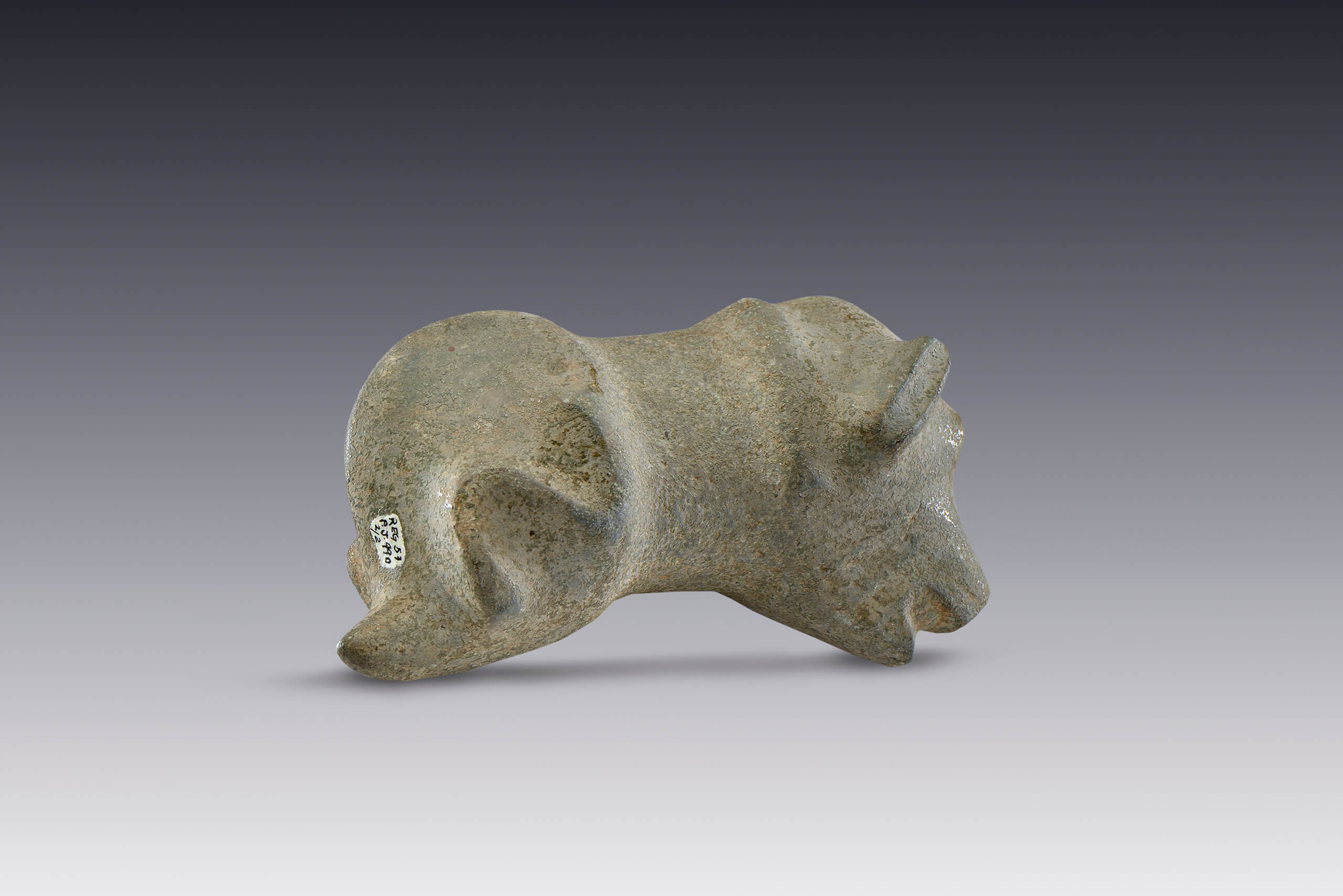 Perros, ¿mangos decorativos? | El México antiguo. Salas de Arte Prehispánico | Museo Amparo, Puebla