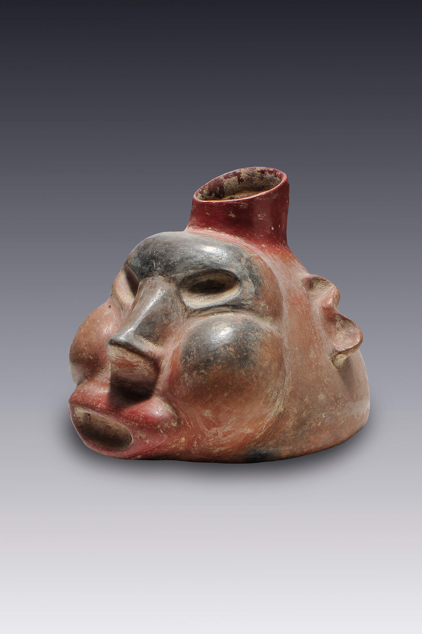 Botella con forma de cabeza humana deforme | El México antiguo. Salas de Arte Prehispánico | Museo Amparo, Puebla