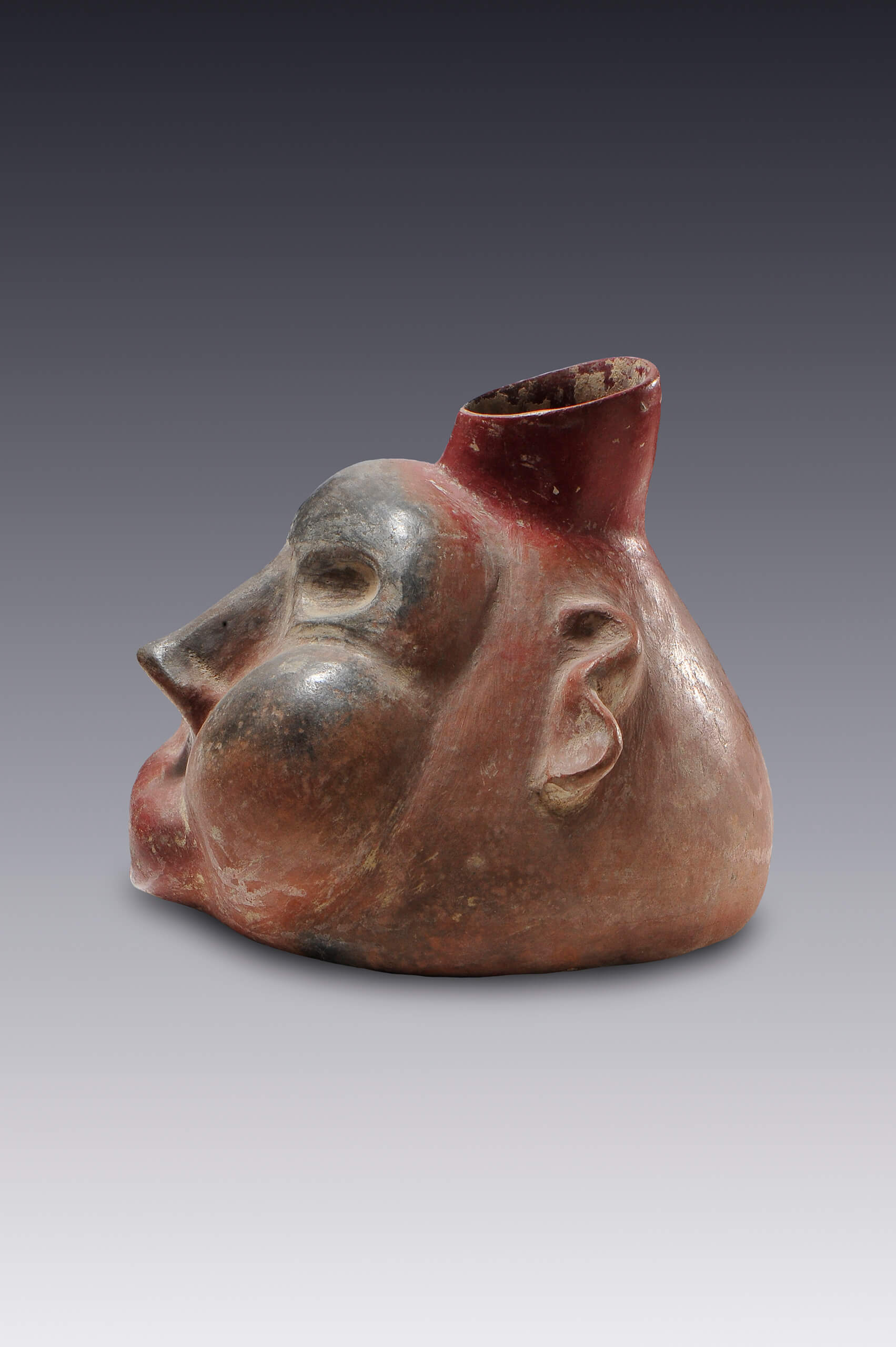 Botella con forma de cabeza humana deforme | El México antiguo. Salas de Arte Prehispánico | Museo Amparo, Puebla