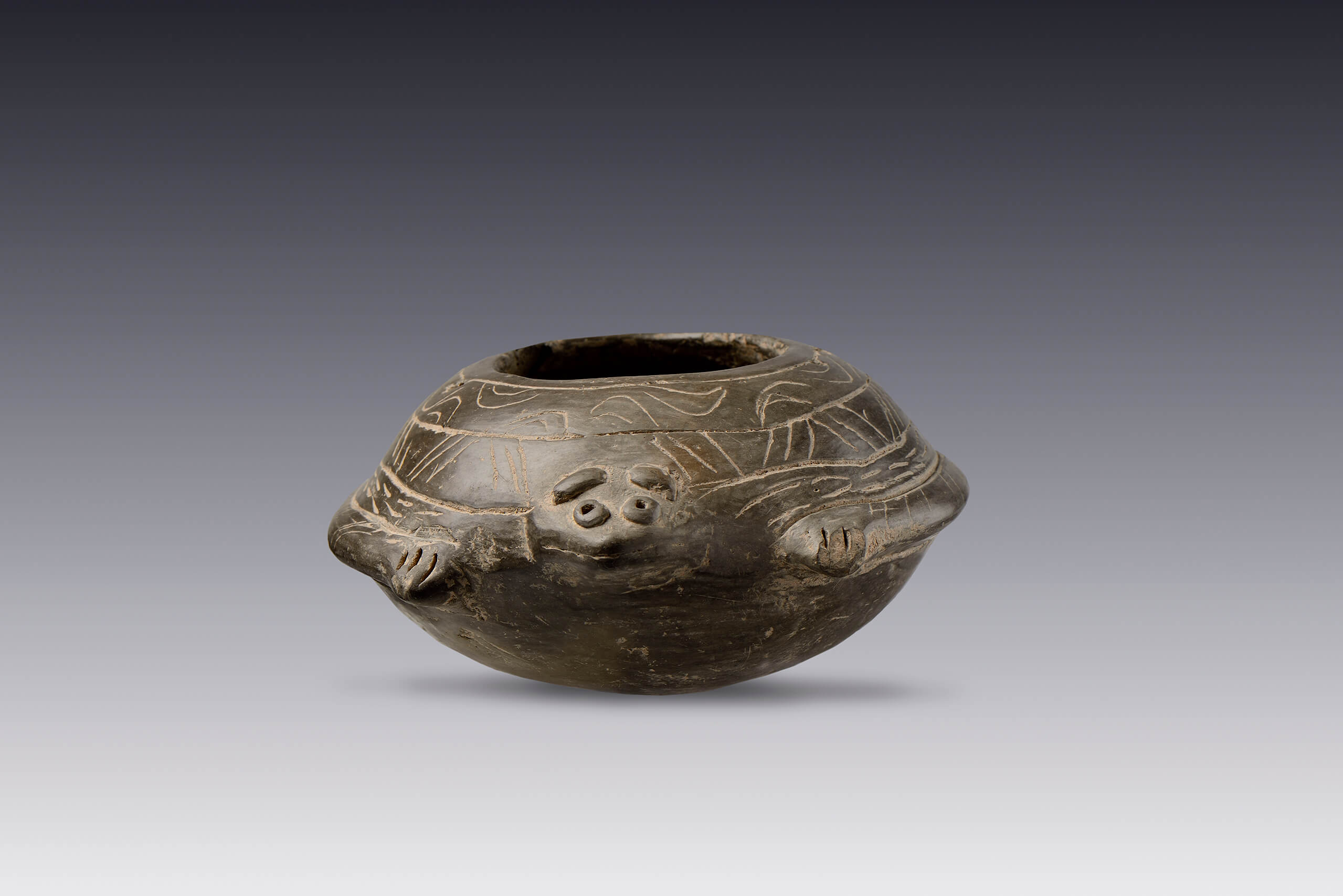 Olla con forma de murciélago | El México antiguo. Salas de Arte Prehispánico | Museo Amparo, Puebla