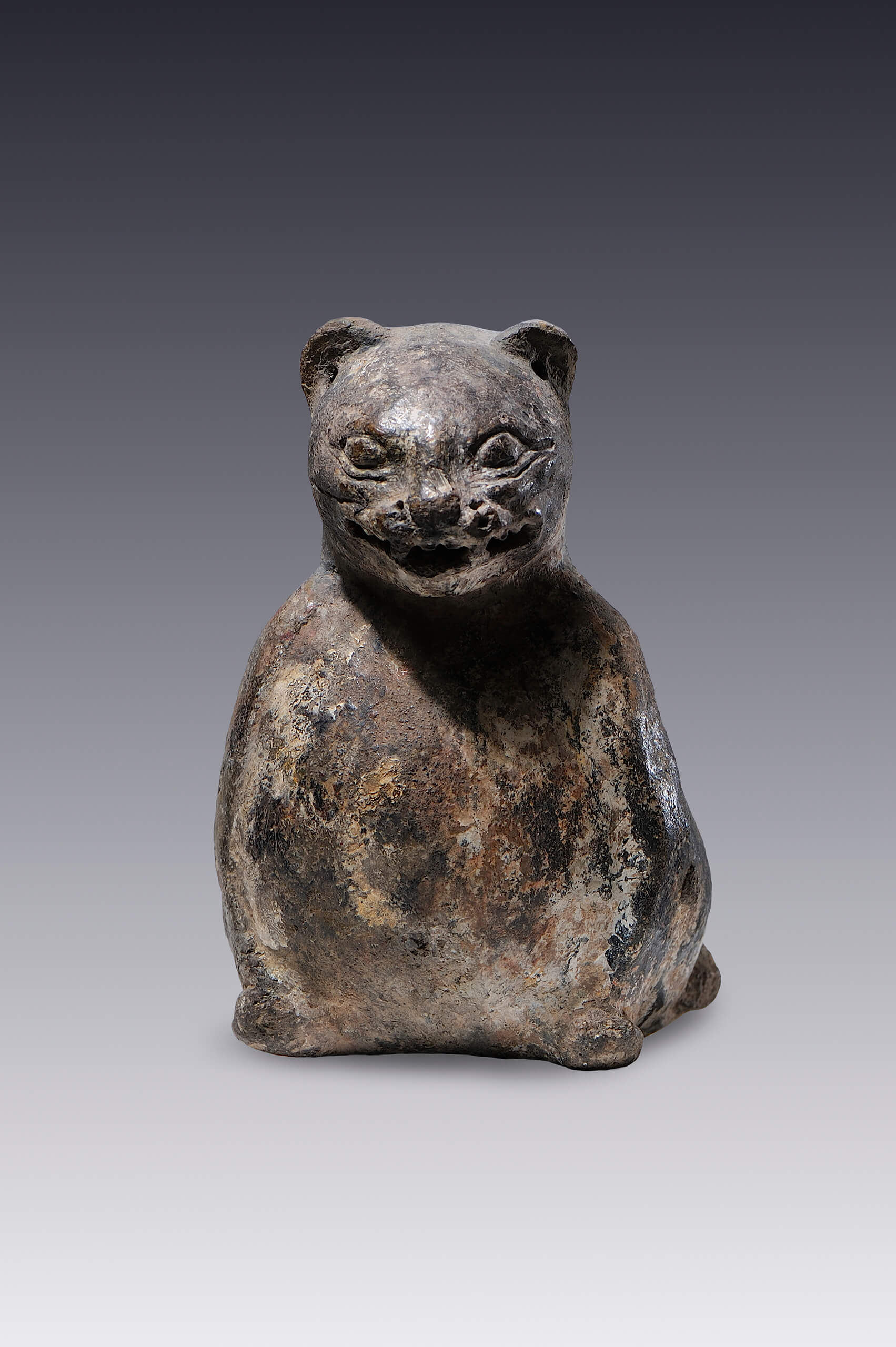 Figurilla de jaguar | El México antiguo. Salas de Arte Prehispánico | Museo Amparo, Puebla