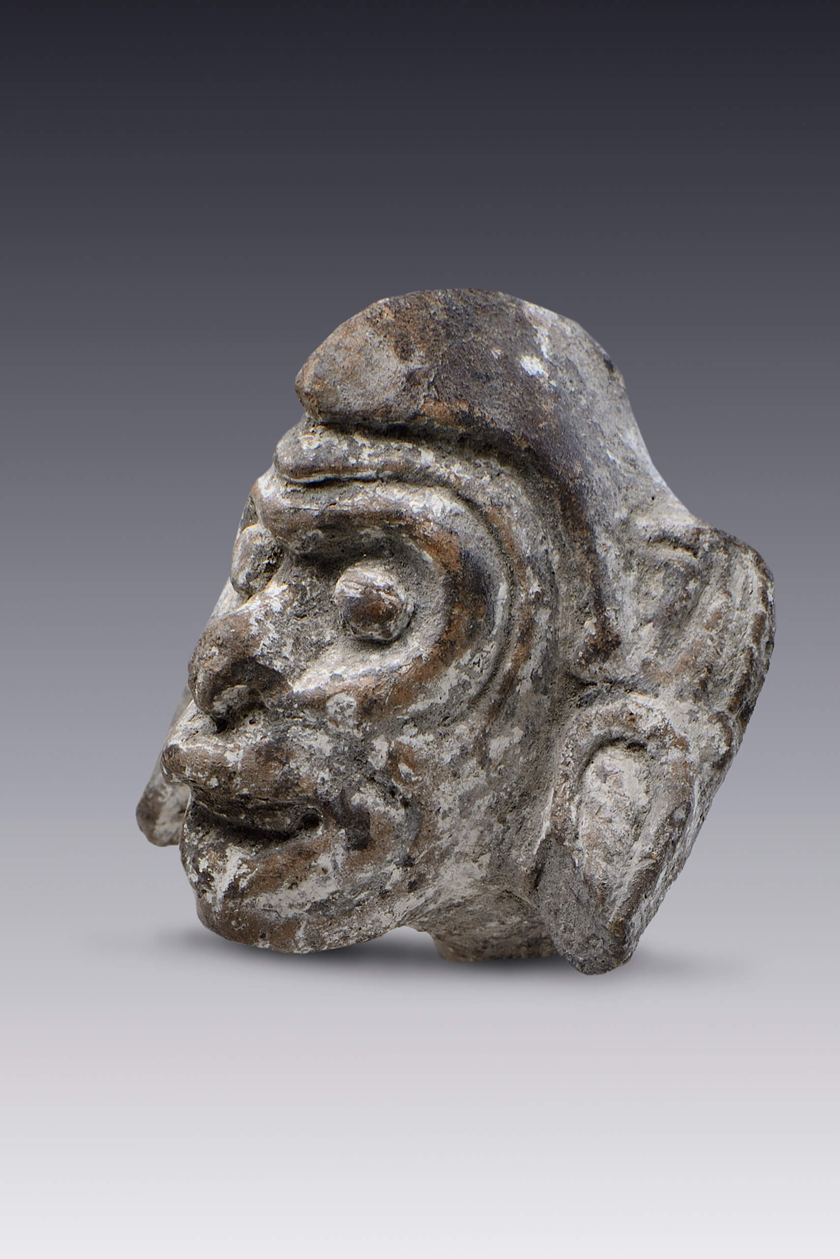 Cabeza de ozomantli | El México antiguo. Salas de Arte Prehispánico | Museo Amparo, Puebla
