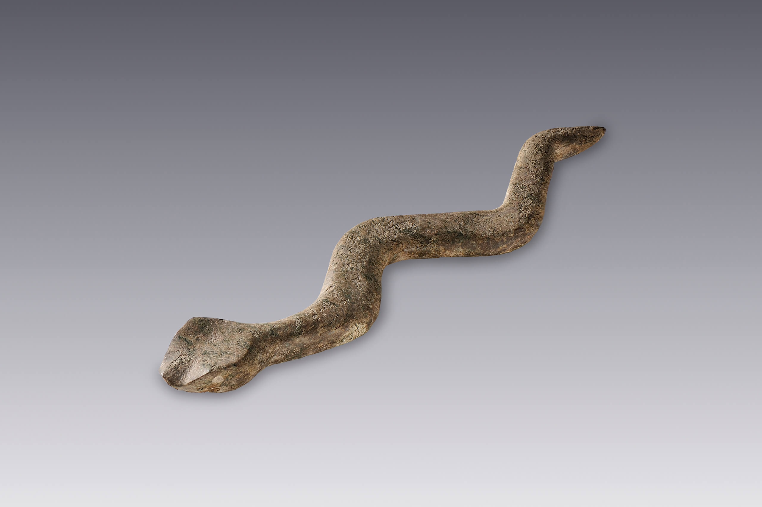 Serpiente | El México antiguo. Salas de Arte Prehispánico | Museo Amparo, Puebla