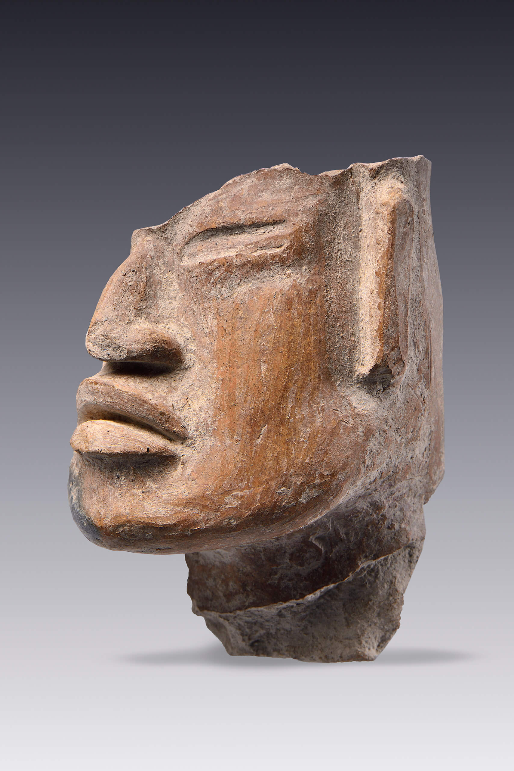 Fragmento de rostro olmeca | El tiempo en las cosas II. Salas de Arte Contemporáneo | Museo Amparo, Puebla