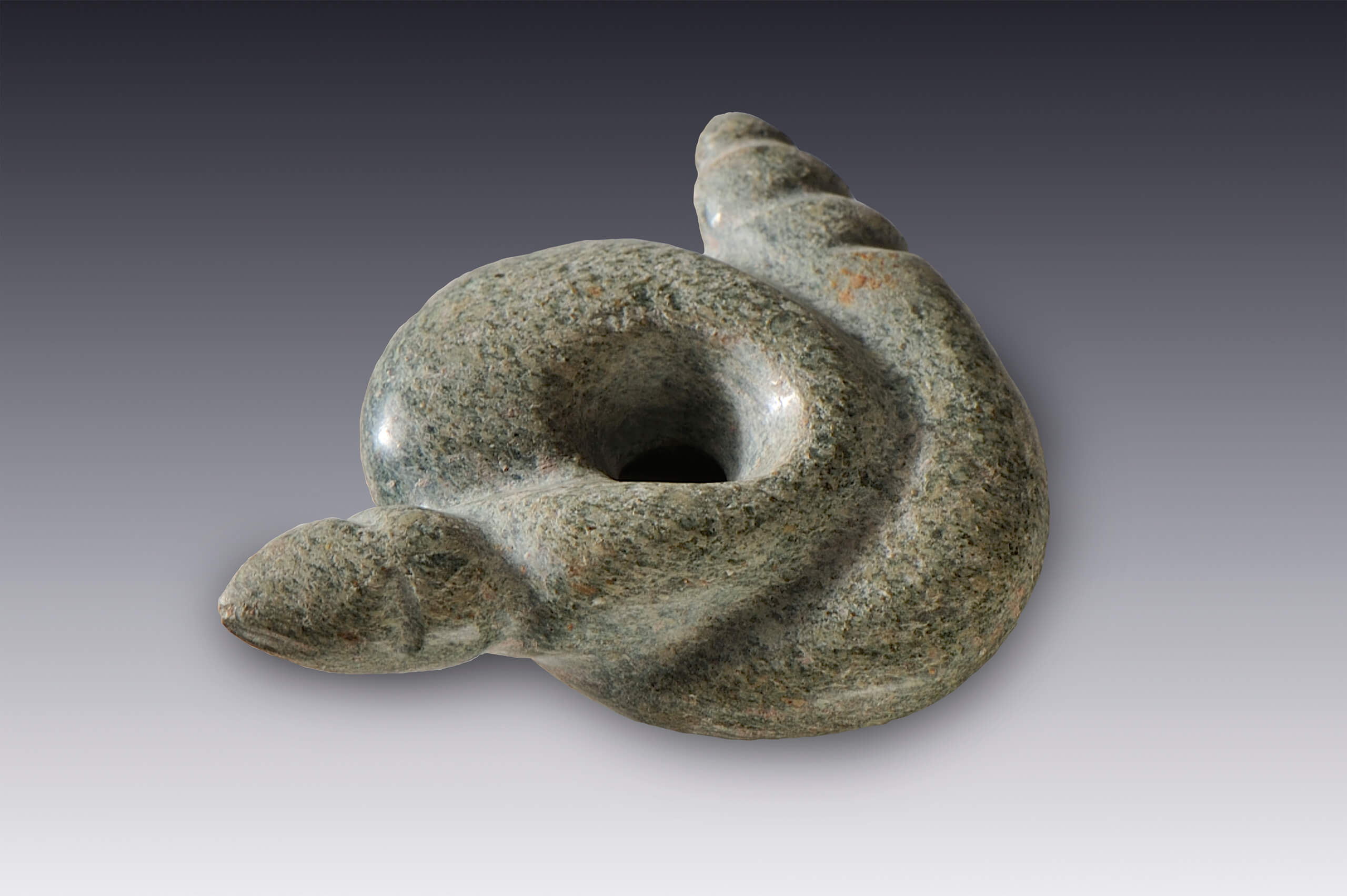 Serpiente | El México antiguo. Salas de Arte Prehispánico | Museo Amparo, Puebla