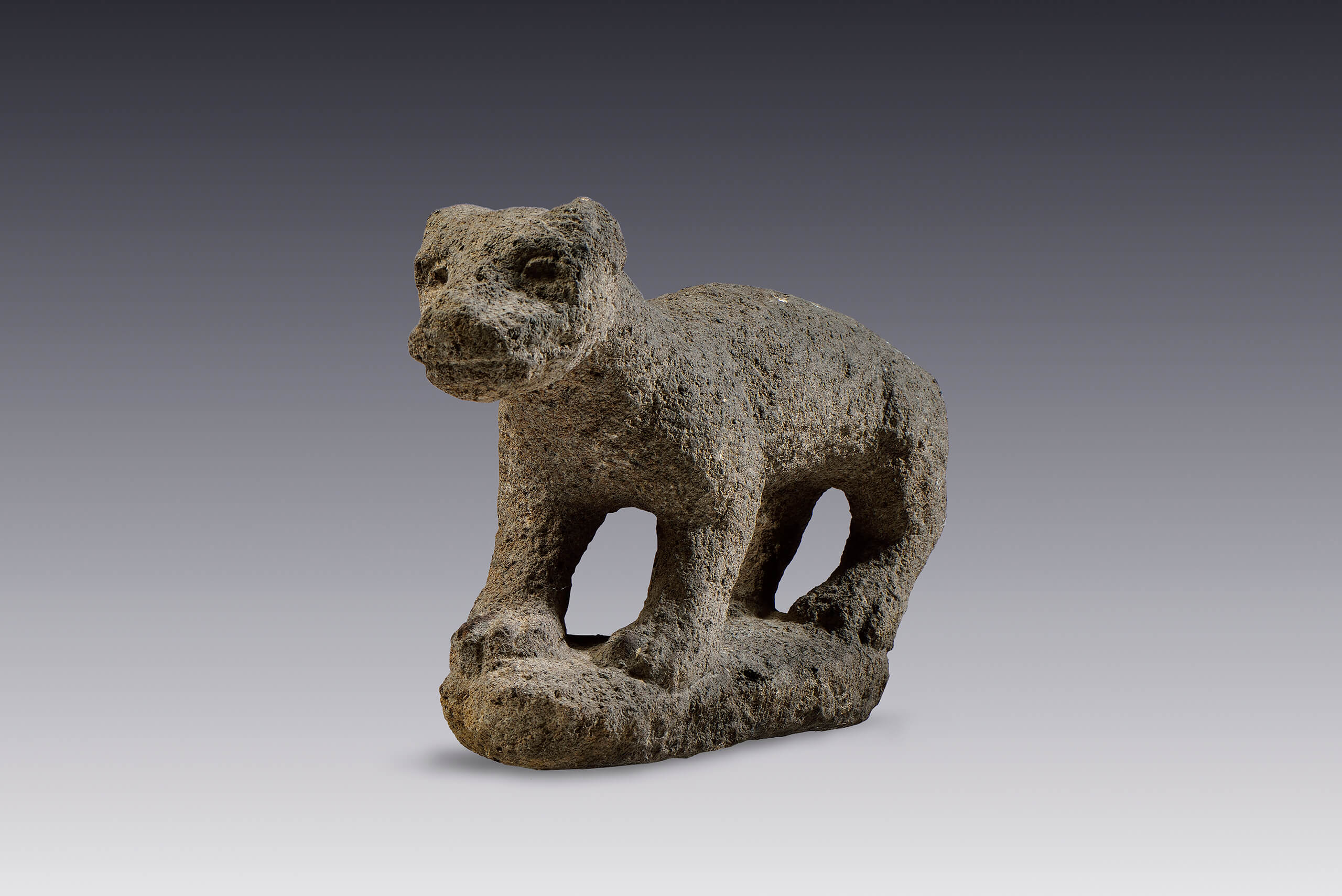 Escultura de jaguar | El México antiguo. Salas de Arte Prehispánico | Museo Amparo, Puebla