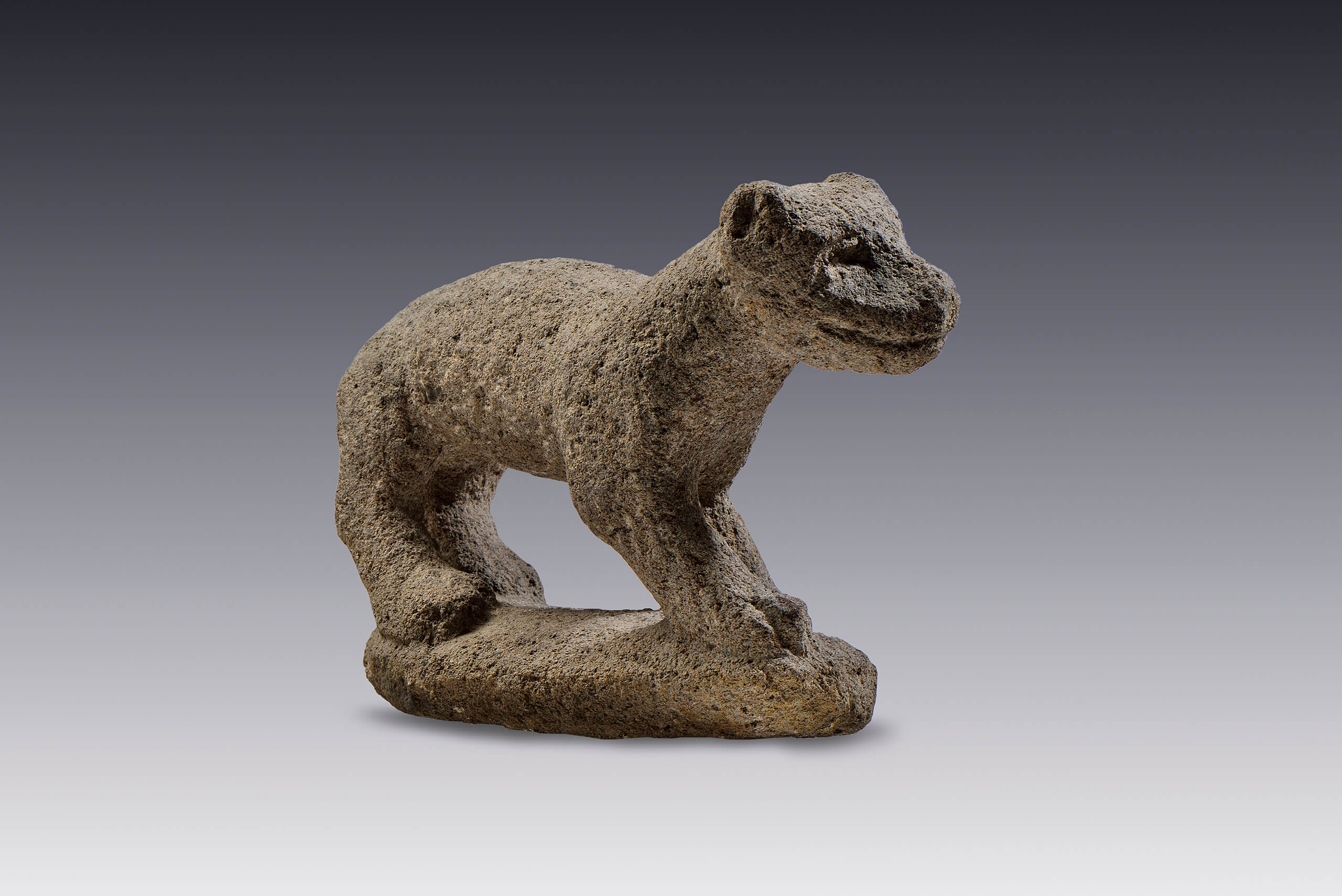 Escultura de jaguar | El México antiguo. Salas de Arte Prehispánico | Museo Amparo, Puebla