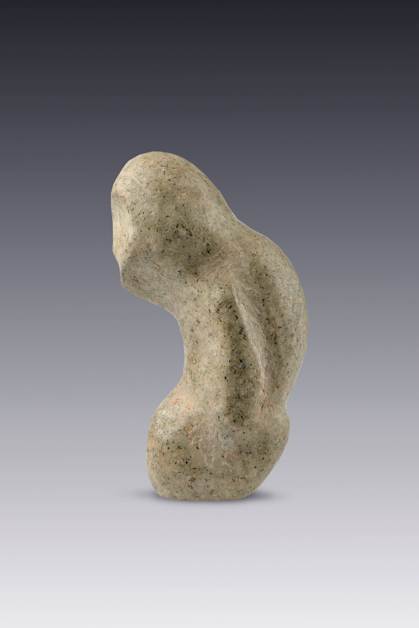 Figura zoomorfa de piedra blanca | El México antiguo. Salas de Arte Prehispánico | Museo Amparo, Puebla