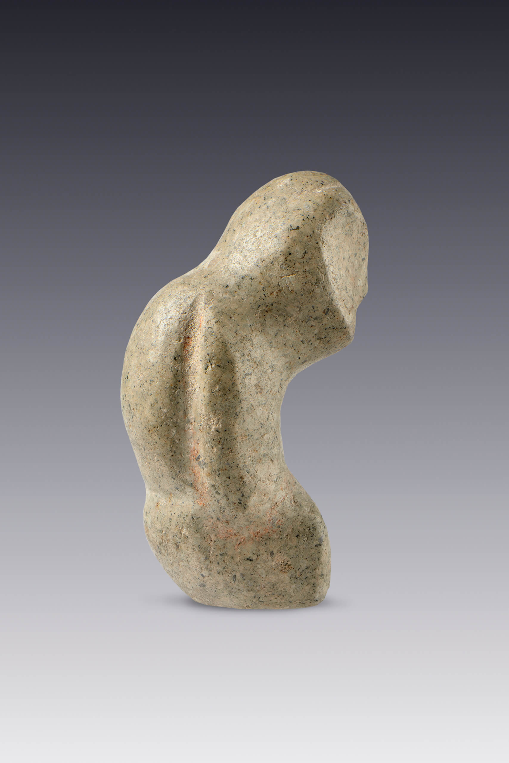 Figura zoomorfa de piedra blanca | El México antiguo. Salas de Arte Prehispánico | Museo Amparo, Puebla