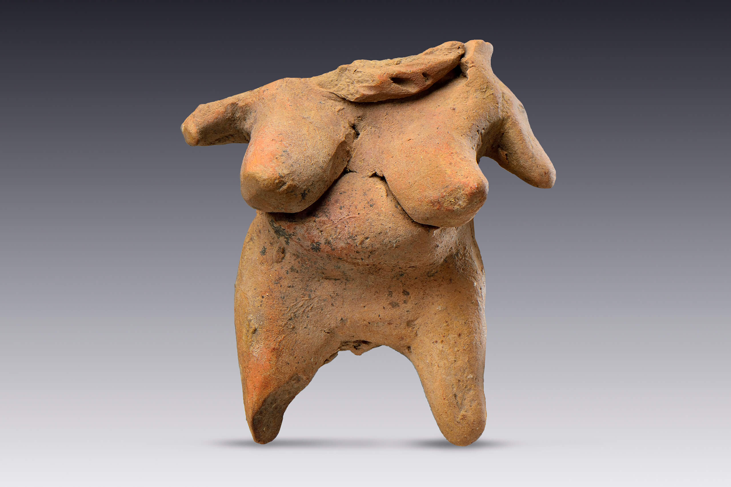 Mujer de grandes senos | El tiempo en las cosas II. Salas de Arte Contemporáneo | Museo Amparo, Puebla