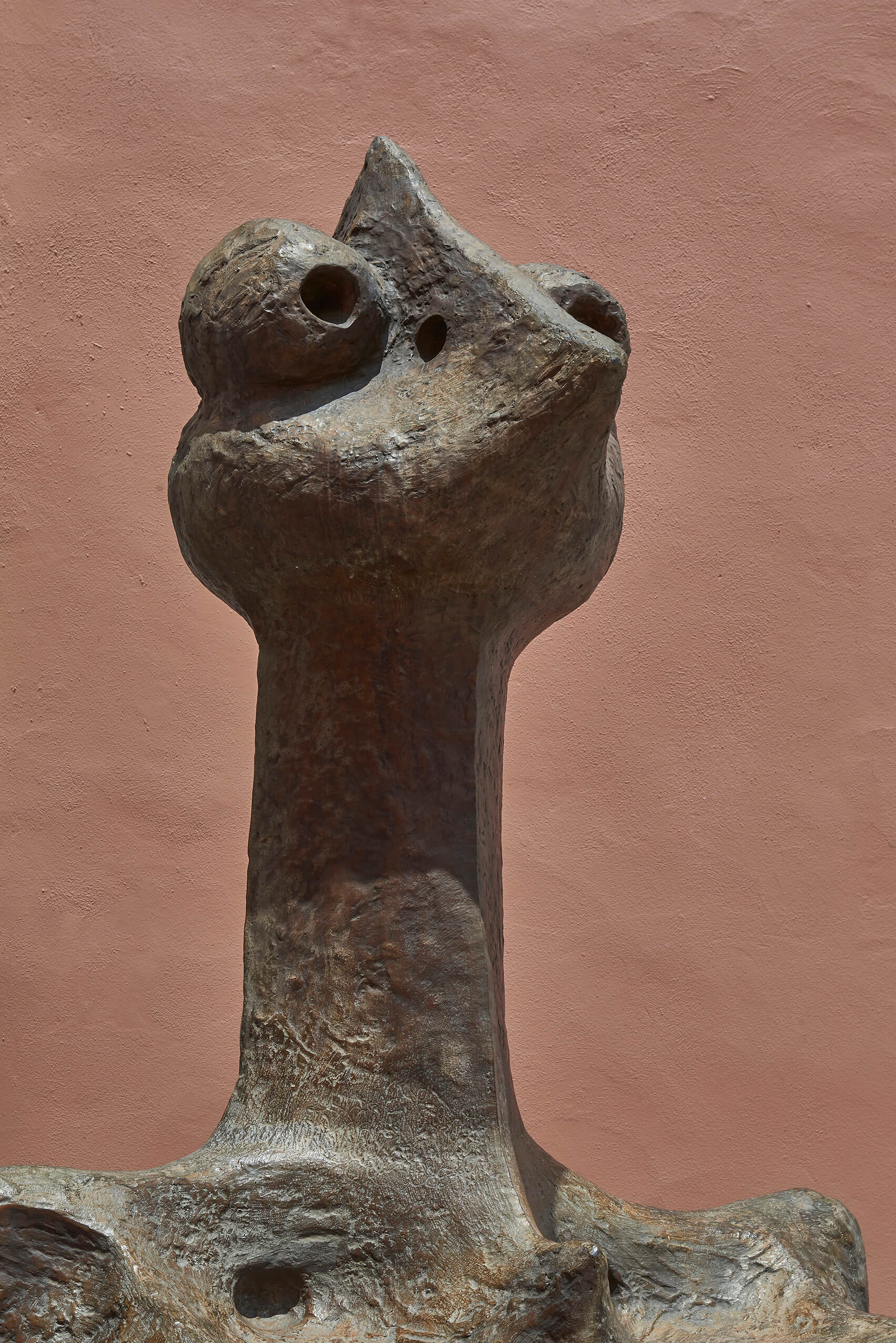 Pájaro de dos caras | El tiempo en las cosas. Salas de Arte Contemporáneo | Museo Amparo, Puebla