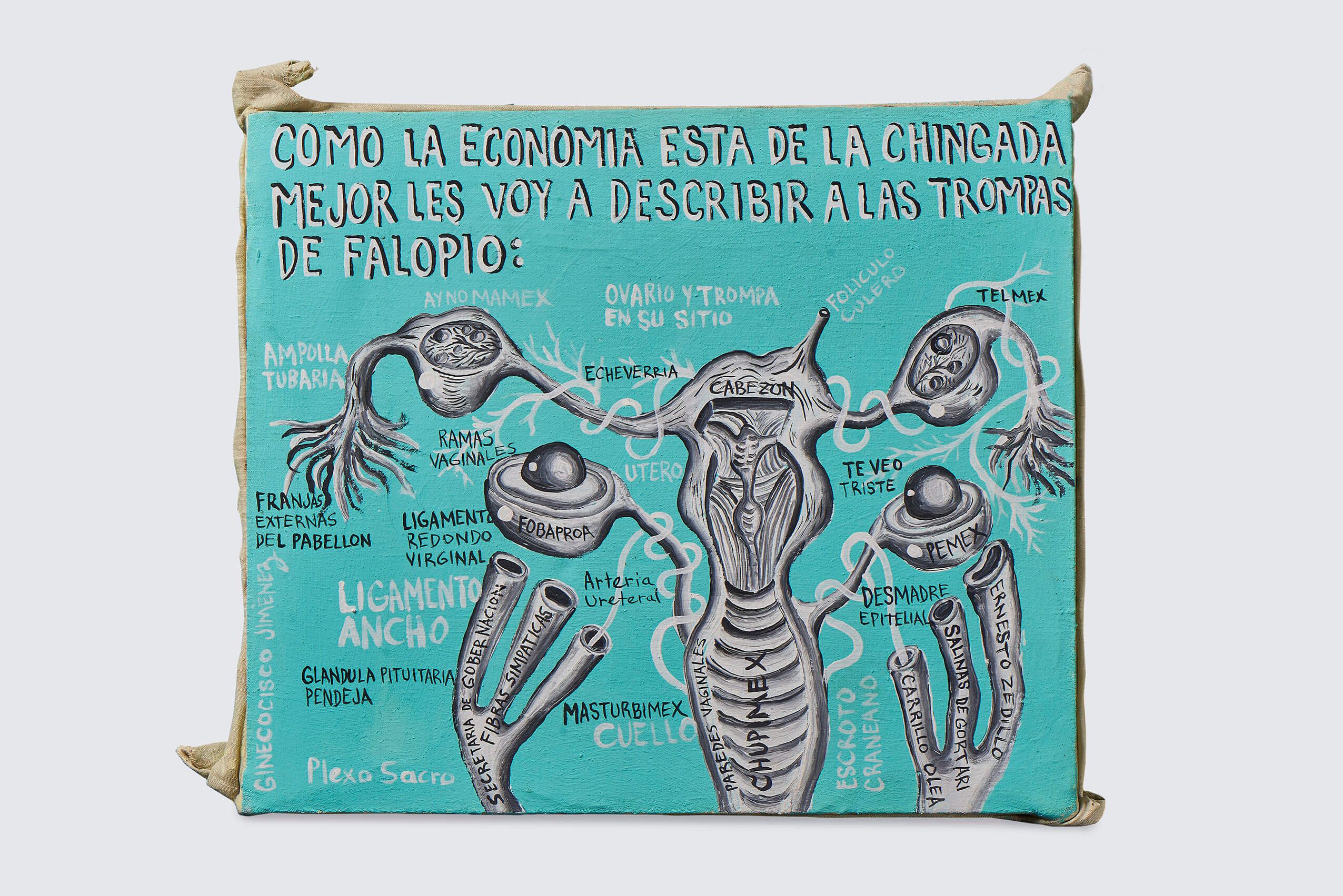 Como la economía está de la chingada mejor les voy a describir las trompas de Falopio | Cisco Jiménez. Anatómica | Museo Amparo, Puebla