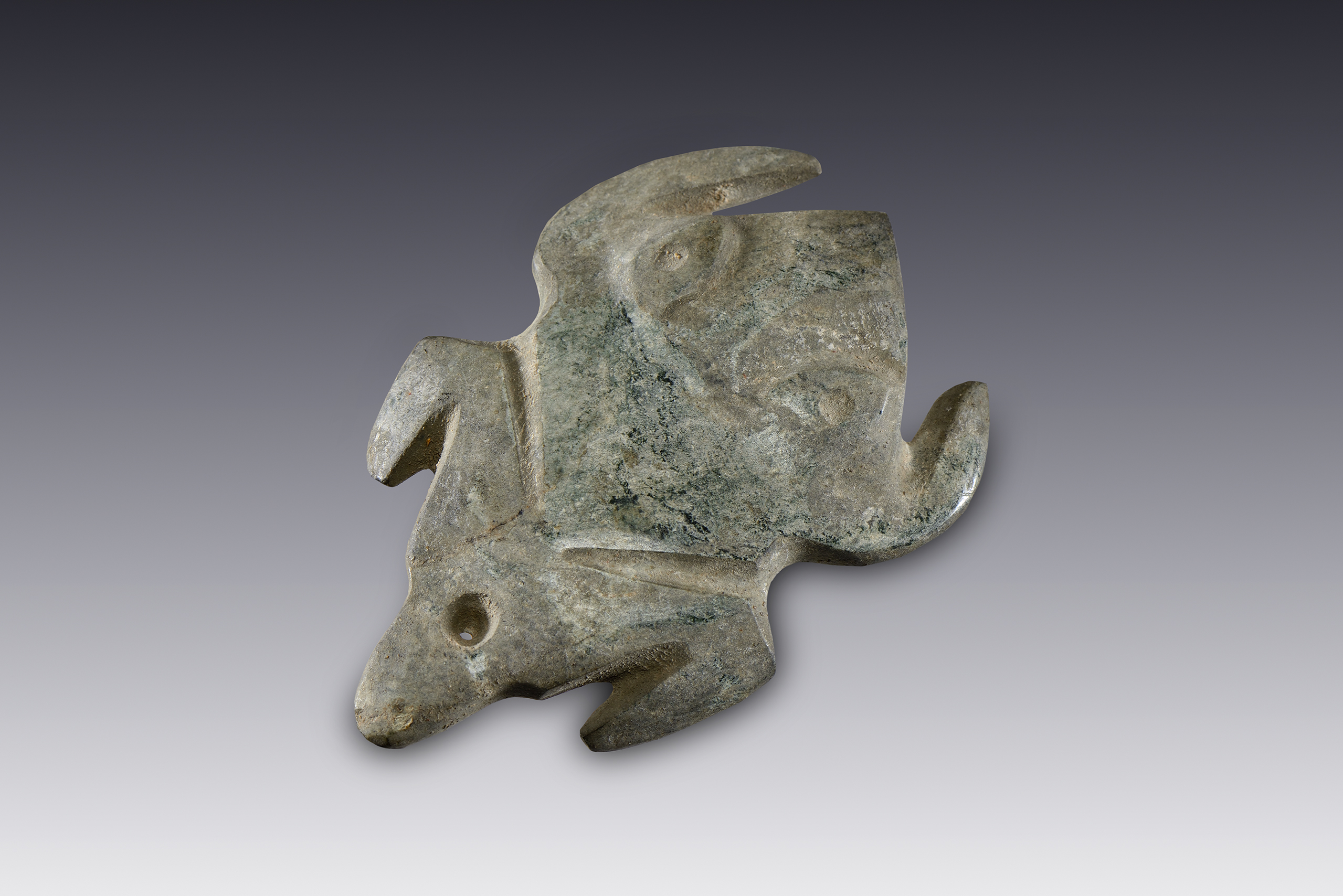 Pendiente de rana | El México antiguo. Salas de Arte Prehispánico | Museo Amparo, Puebla