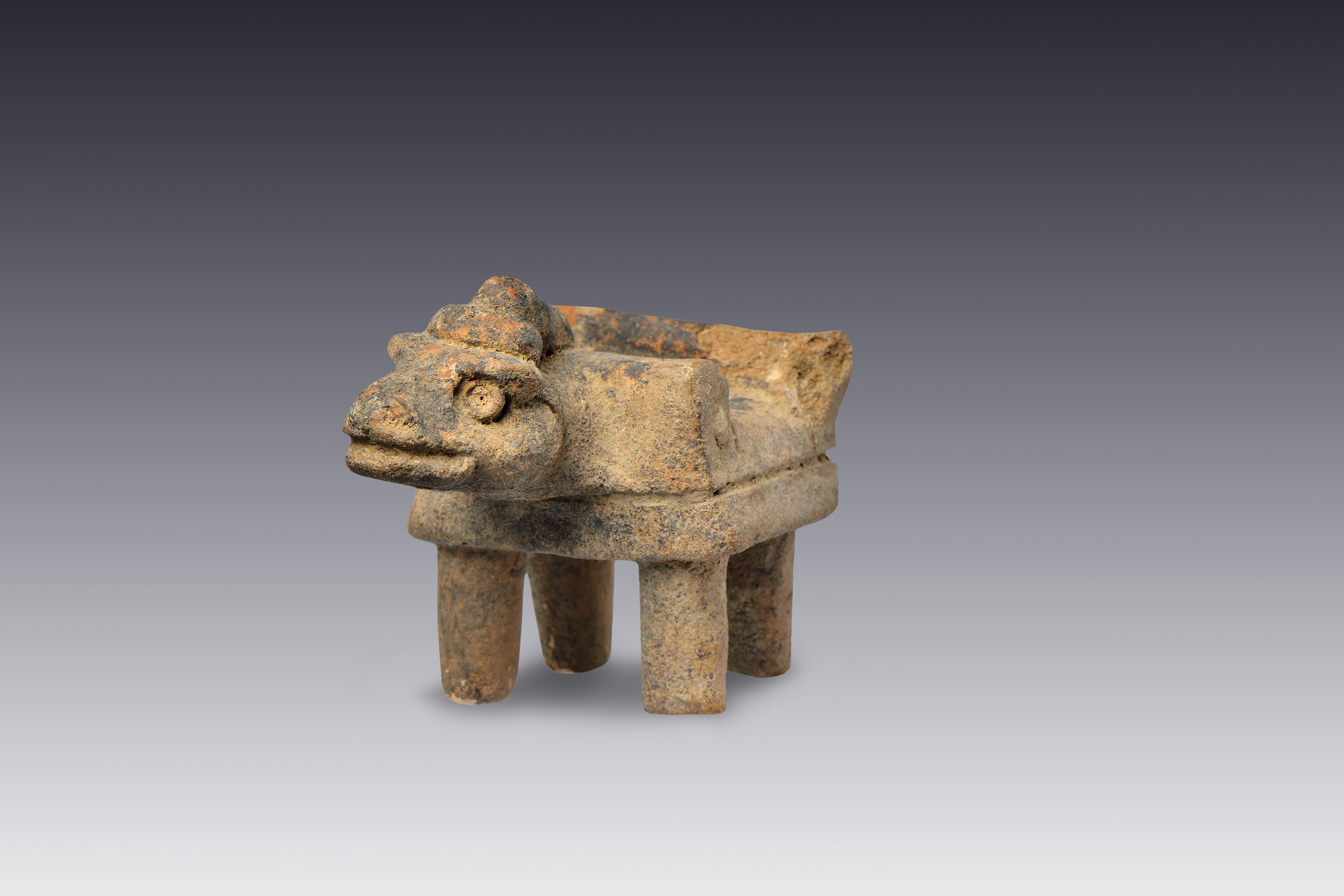 Trono | El México antiguo. Salas de Arte Prehispánico | Museo Amparo, Puebla
