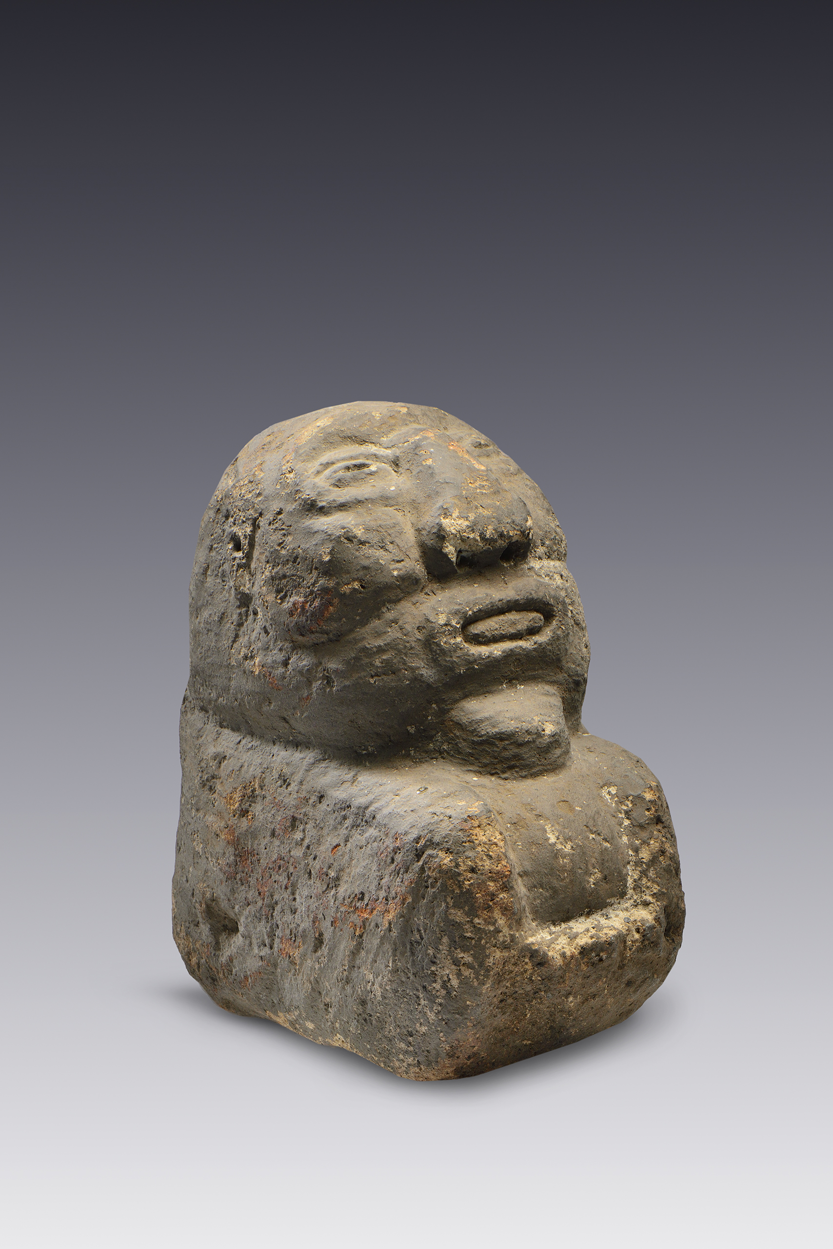 Escultura de barrigón | El México antiguo. Salas de Arte Prehispánico | Museo Amparo, Puebla