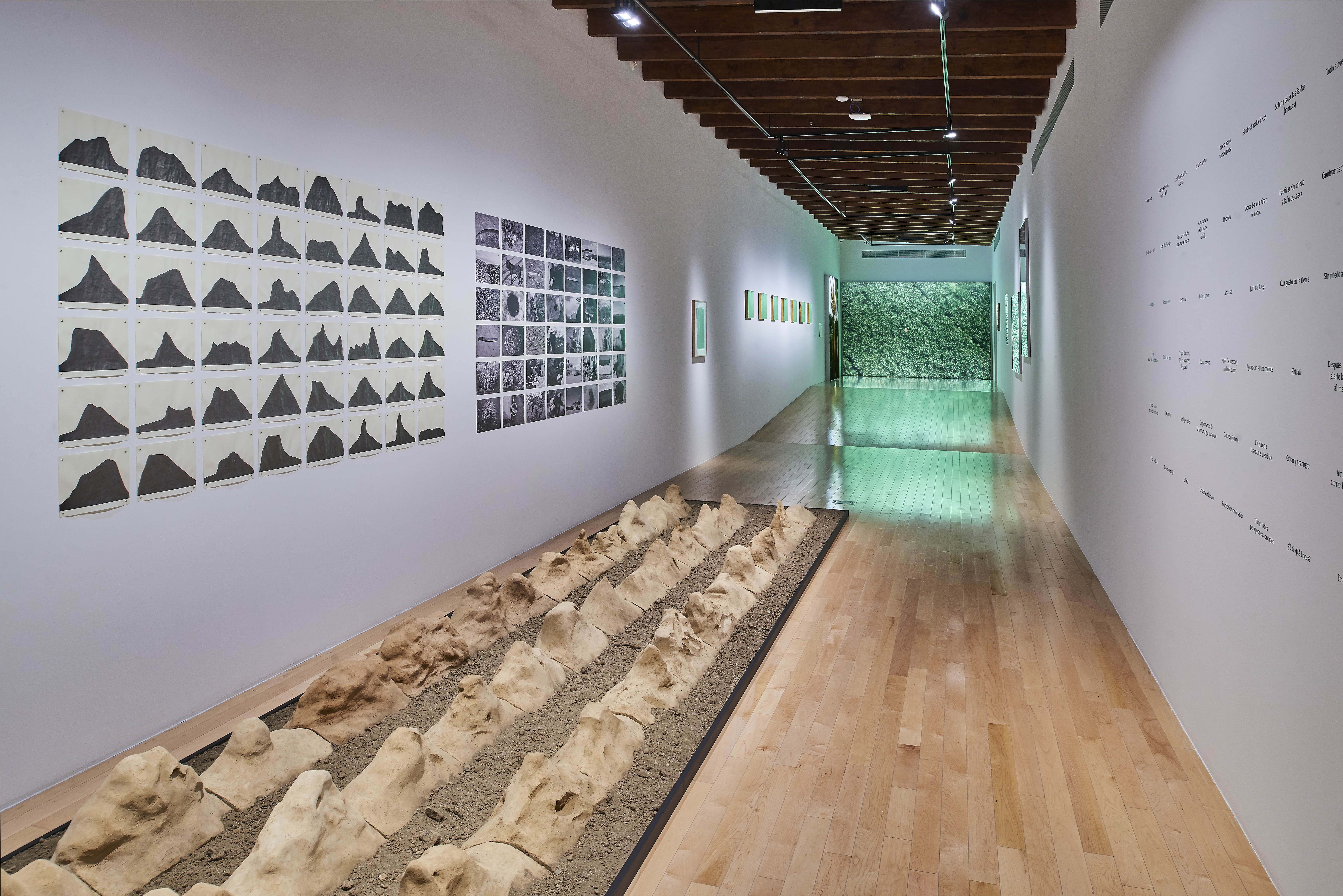 Lecciones de cosecha | El tiempo en las cosas II. Salas de Arte Contemporáneo | Museo Amparo, Puebla