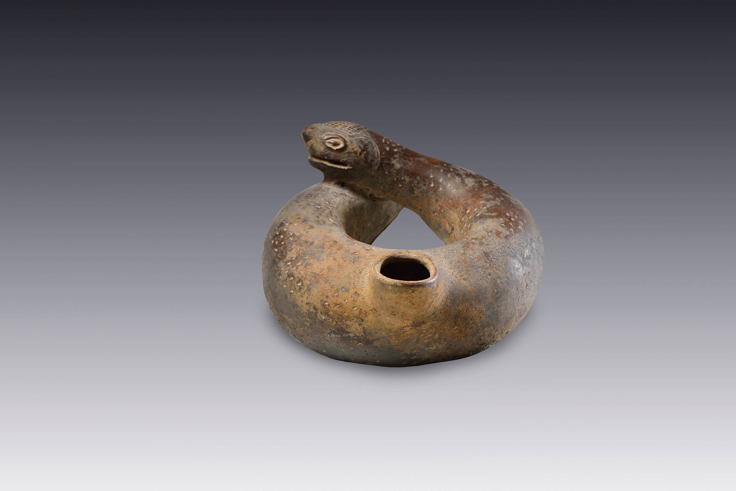 Vasija con forma de serpiente | El México antiguo. Salas de Arte Prehispánico | Museo Amparo, Puebla