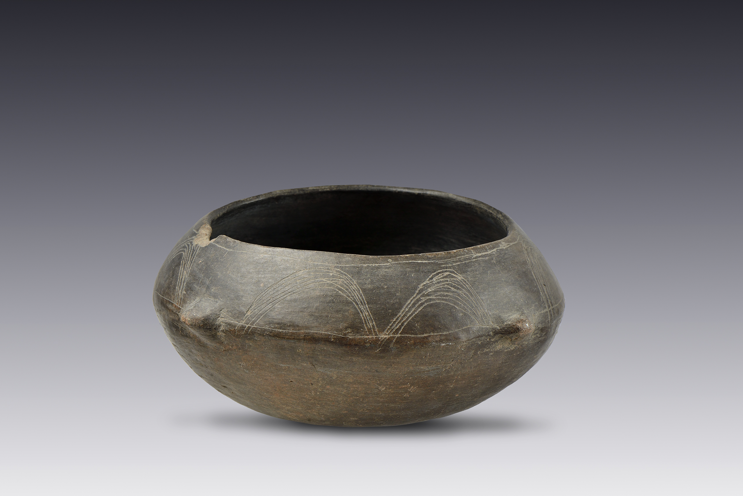 Vasija con decoración cerámica  | El México antiguo. Salas de Arte Prehispánico | Museo Amparo, Puebla