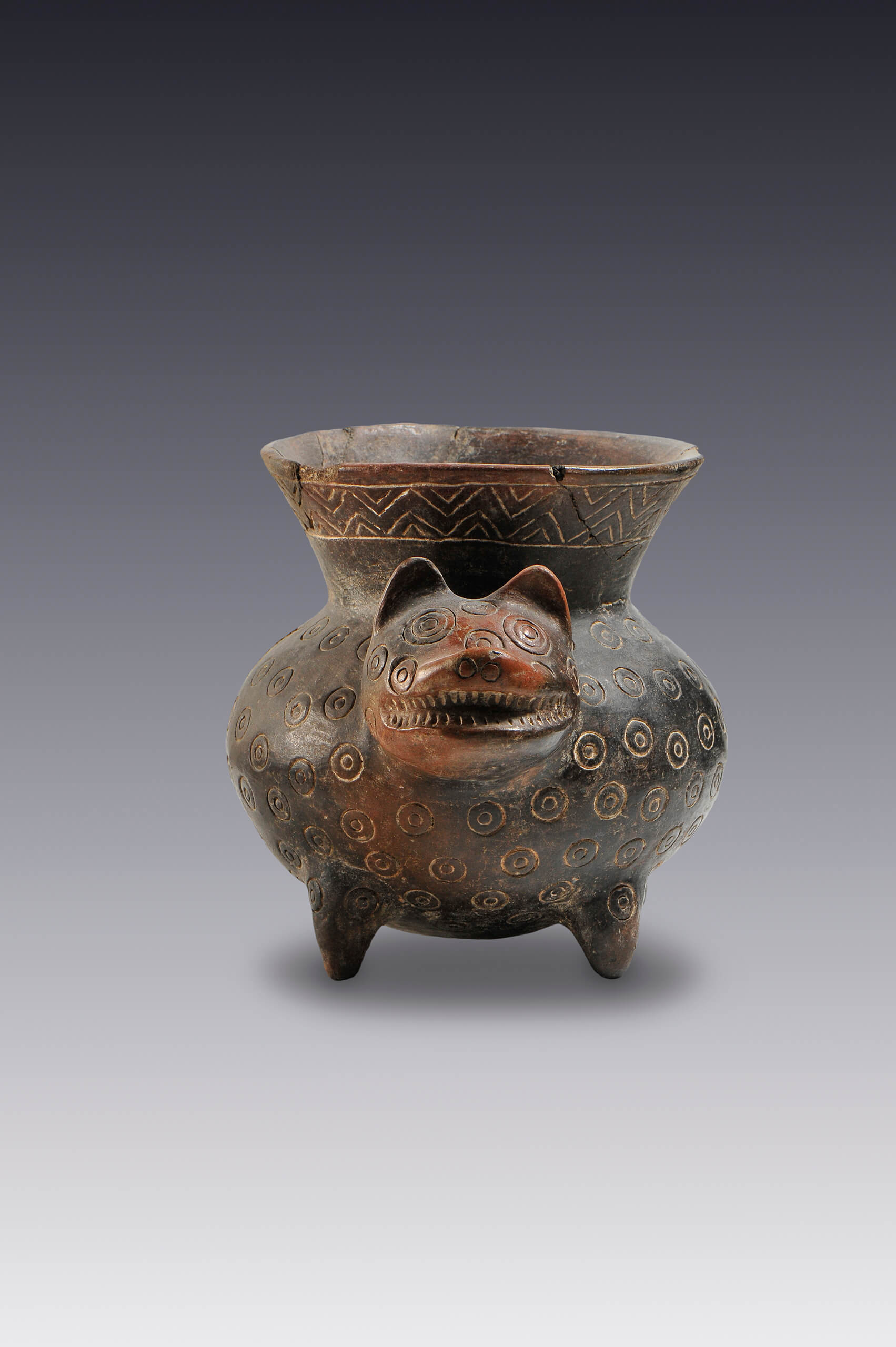Olla con forma de perro | El México antiguo. Salas de Arte Prehispánico | Museo Amparo, Puebla