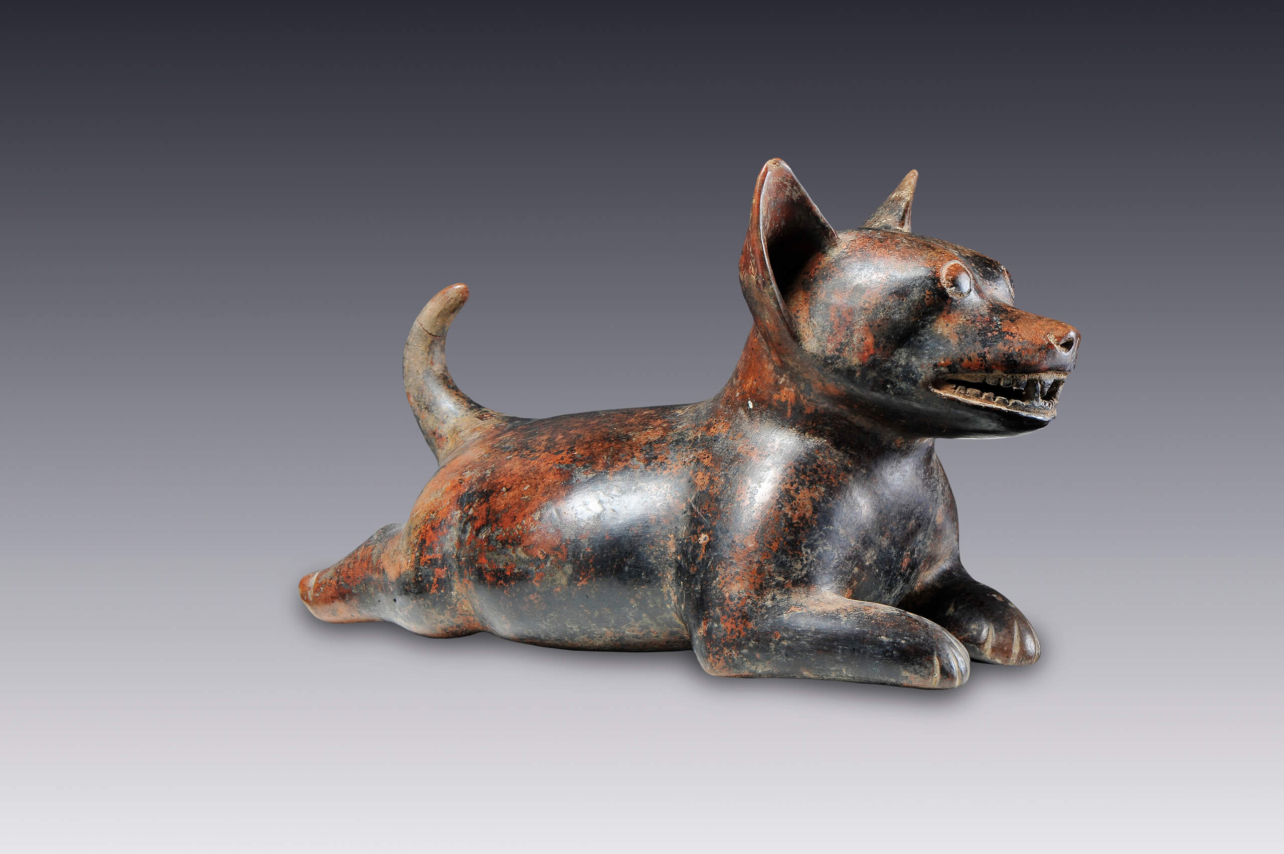 Representación de un perro que aparenta estar contento | El México antiguo. Salas de Arte Prehispánico | Museo Amparo, Puebla